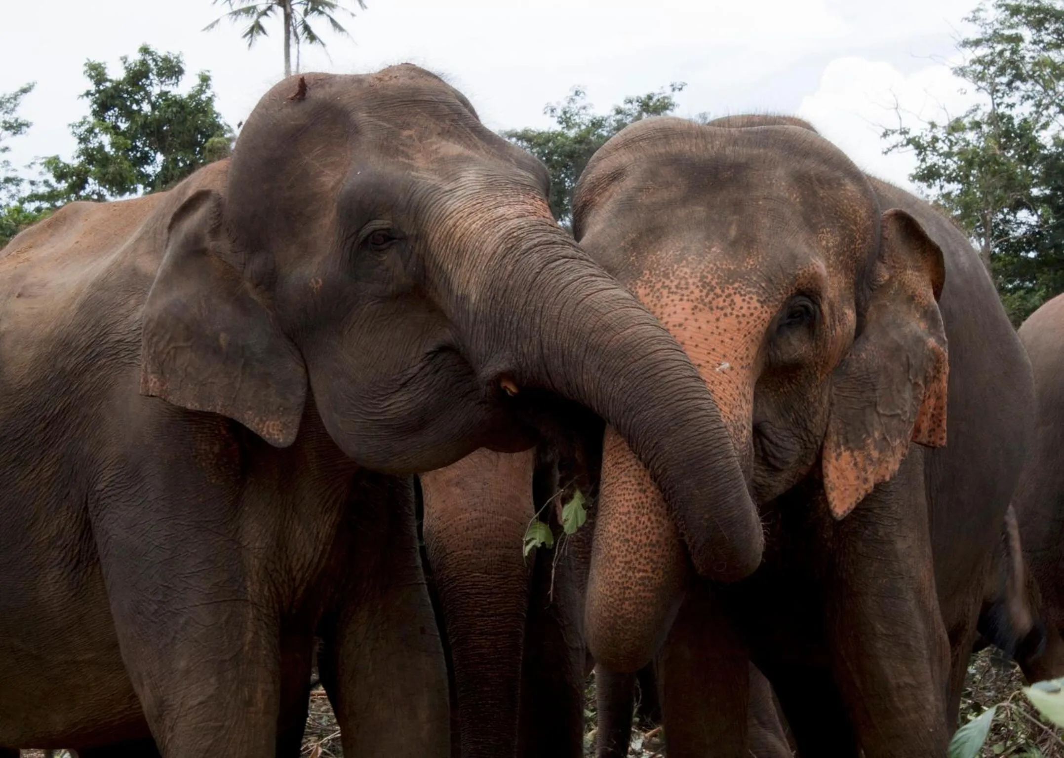 Nearby landmark in Sat Nam Village Hotel