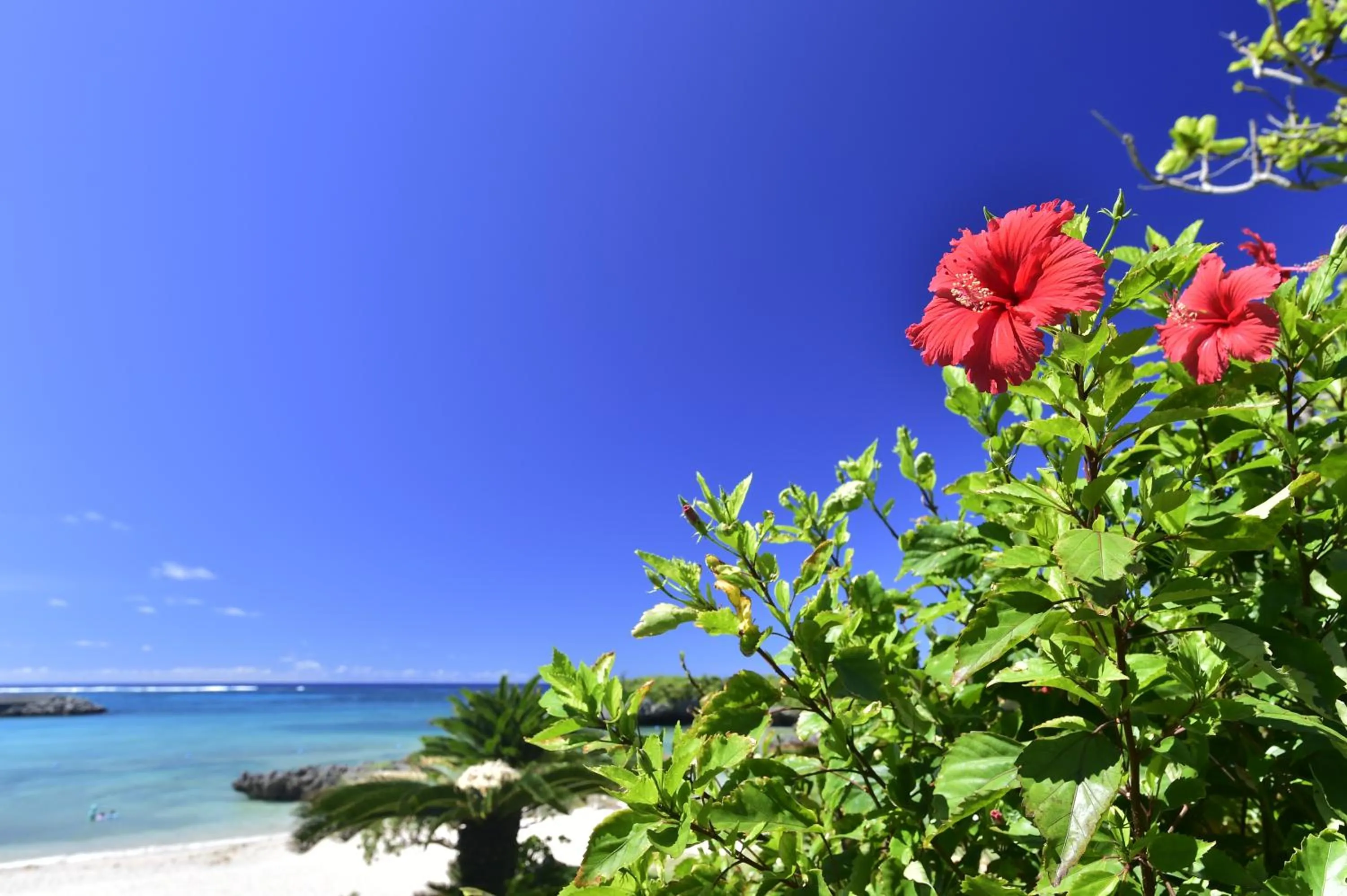 Nearby landmark in Wellness Villa Brisa