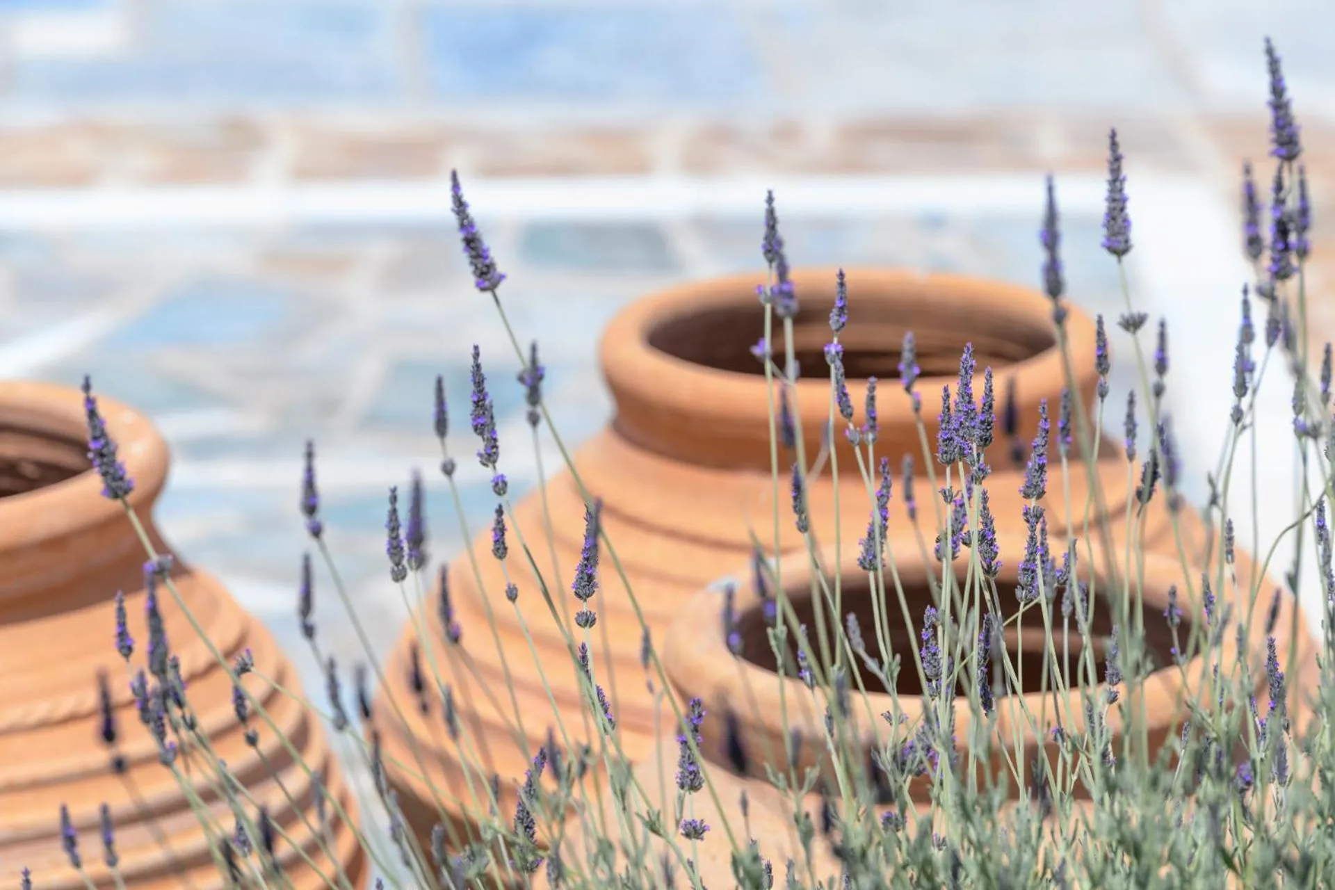 Property building in Kallisti Paros