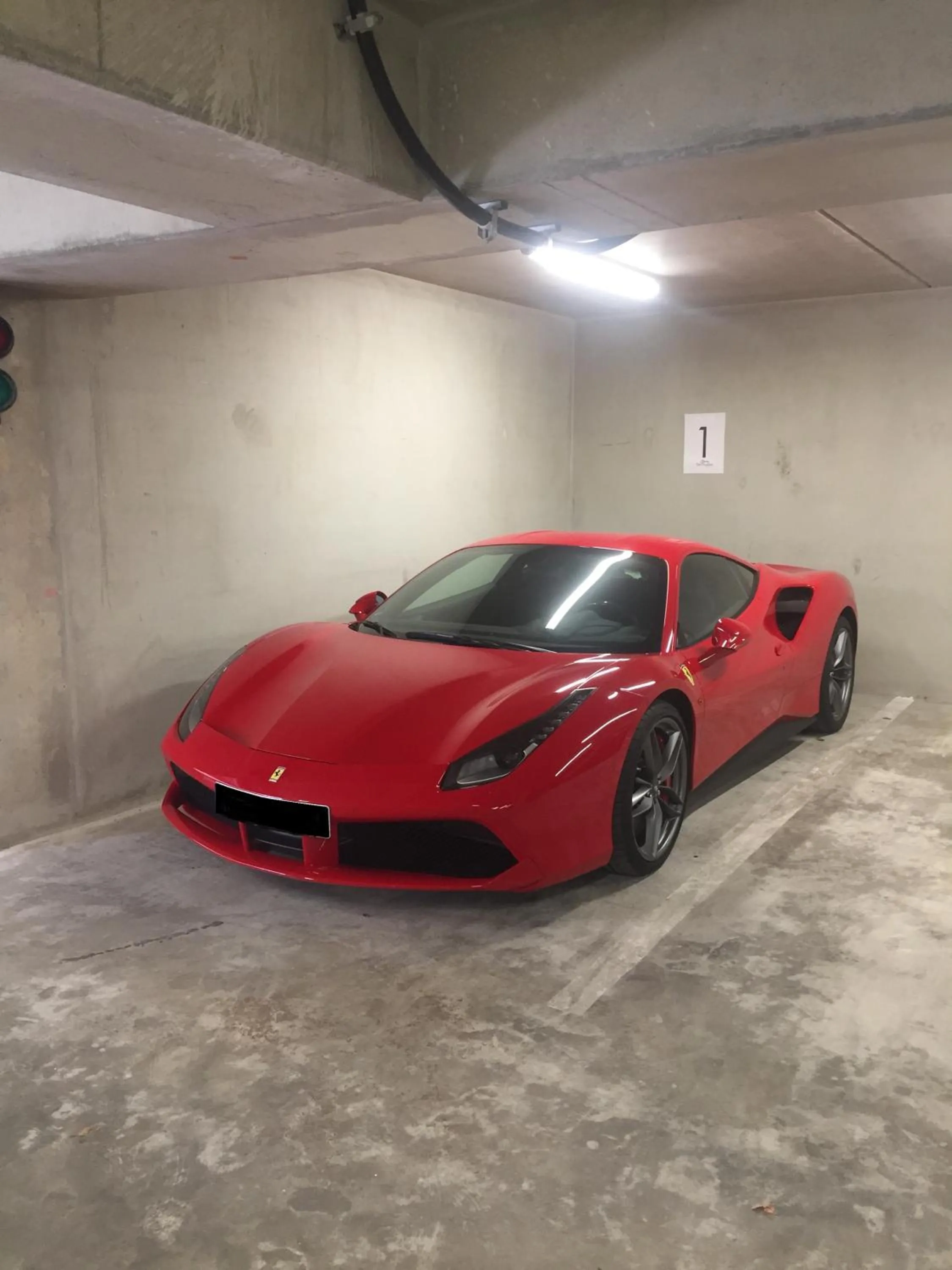 Area and facilities in Hotel Moselauen