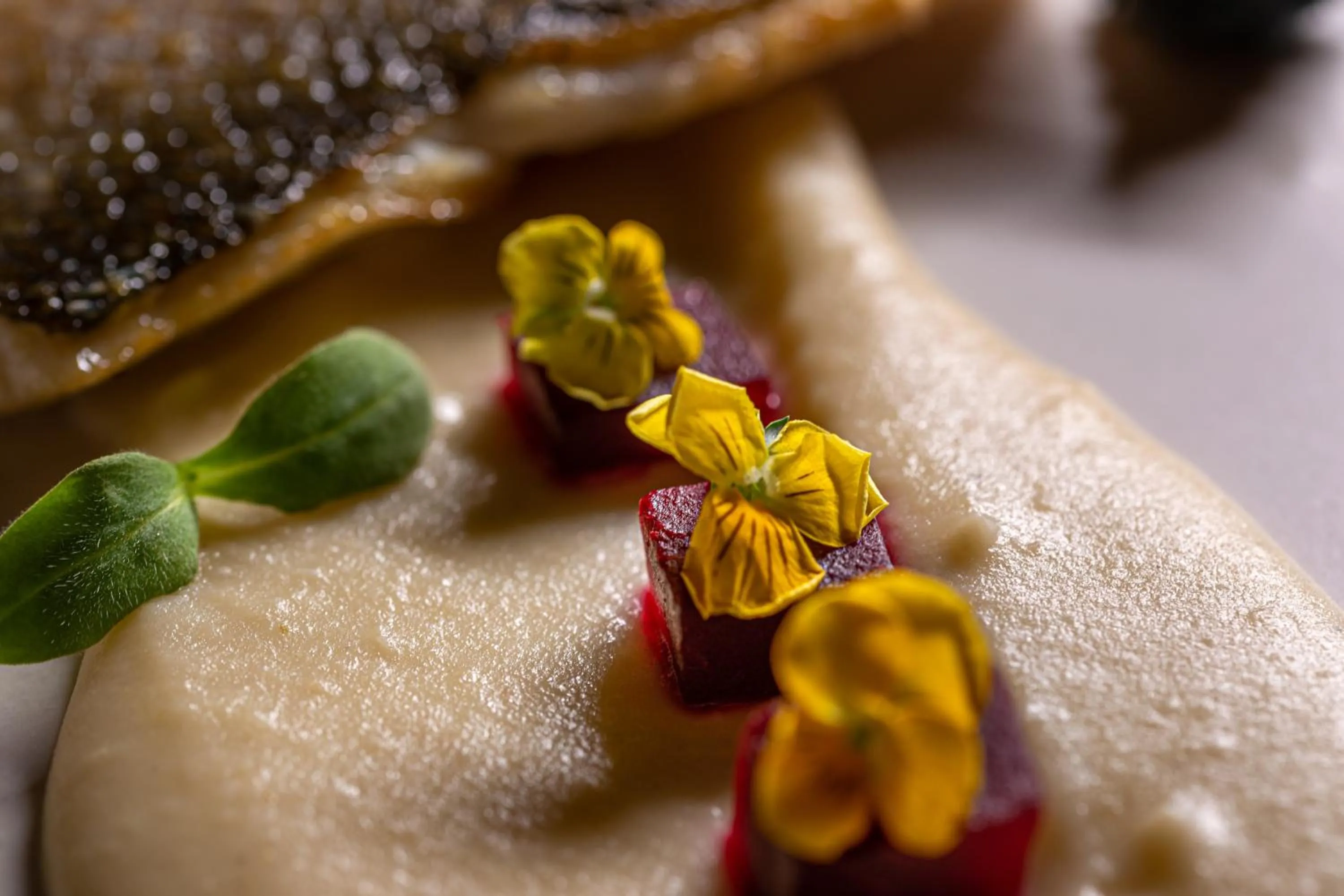 Food close-up in Anteliz Suites