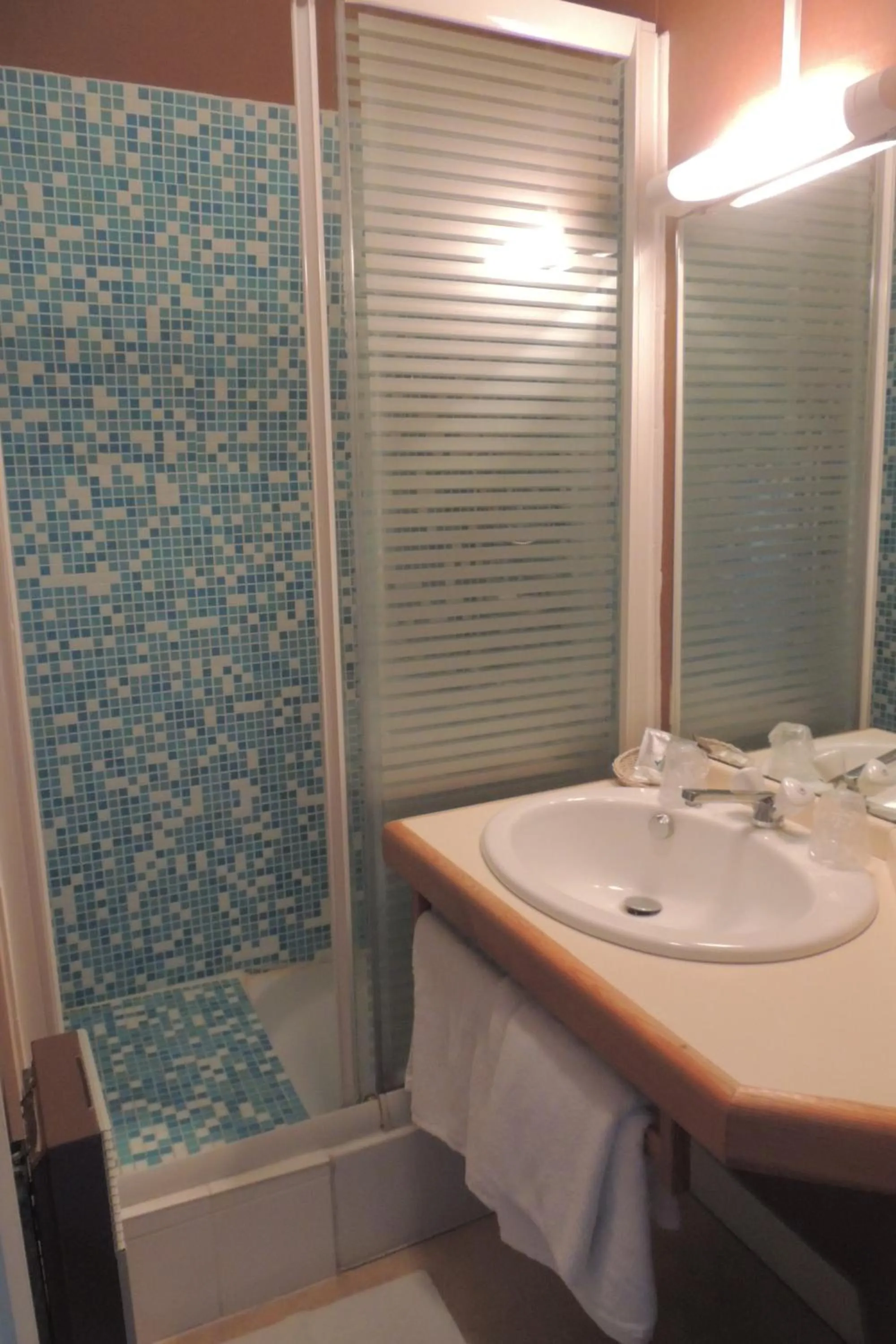 Bathroom in Belle Epoque