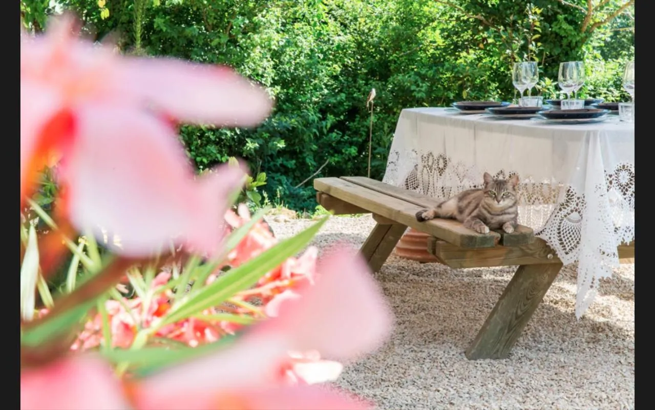 Property building in Mas De La Baume