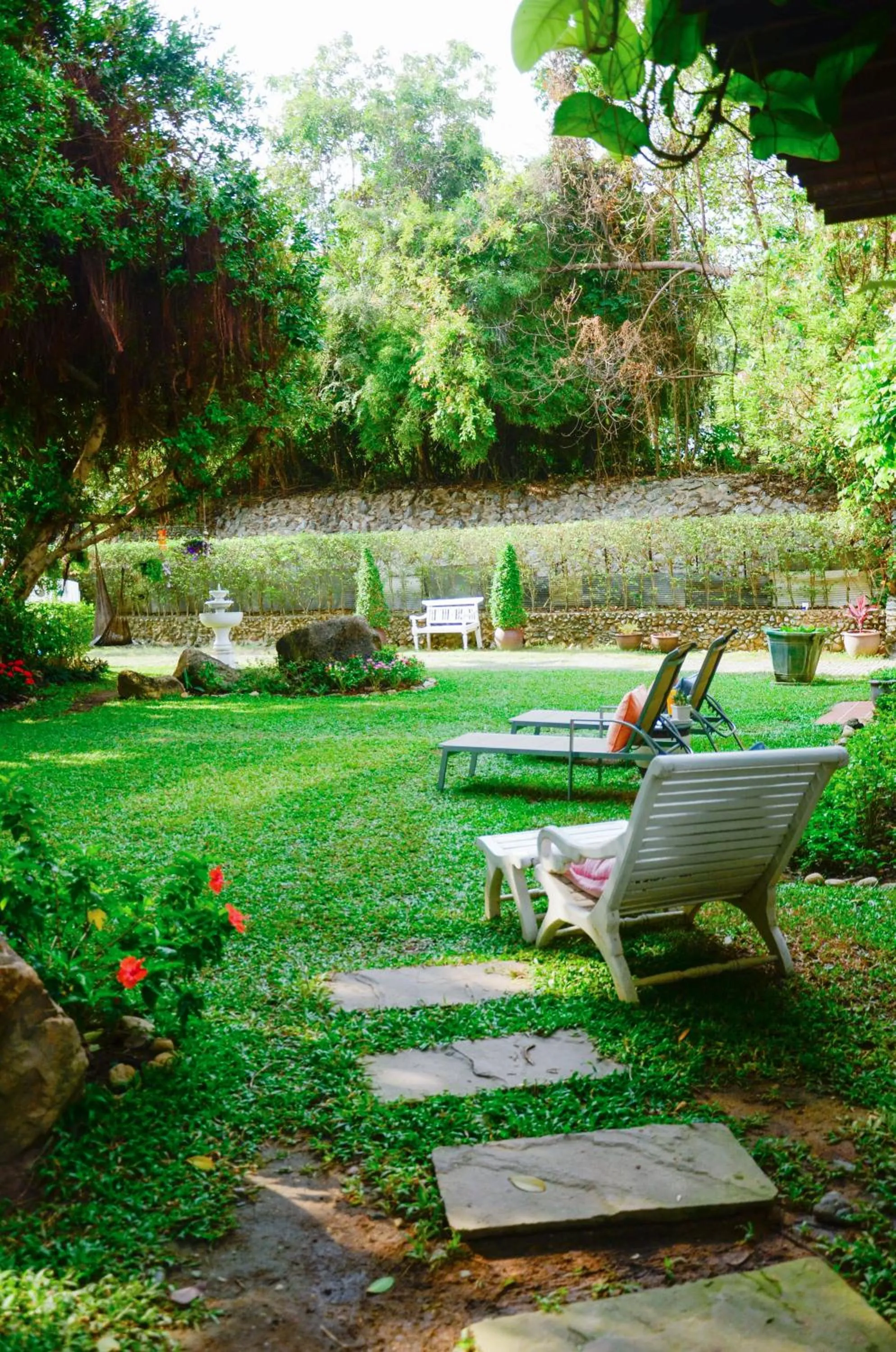 Garden in Banyan House Samui bed and breakfast (Adult Only)