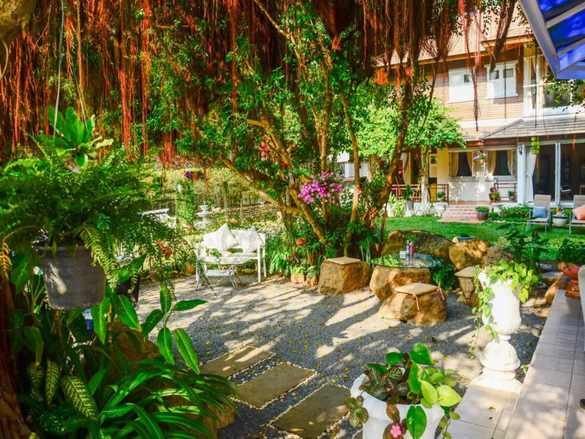 Garden in Banyan House Samui bed and breakfast (Adult Only)