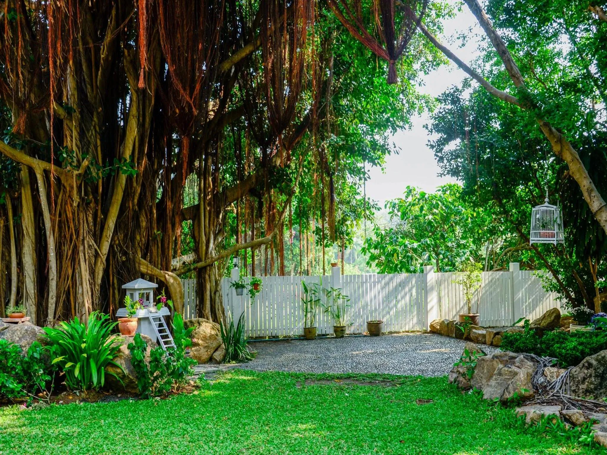 Garden in Banyan House Samui bed and breakfast (Adult Only)