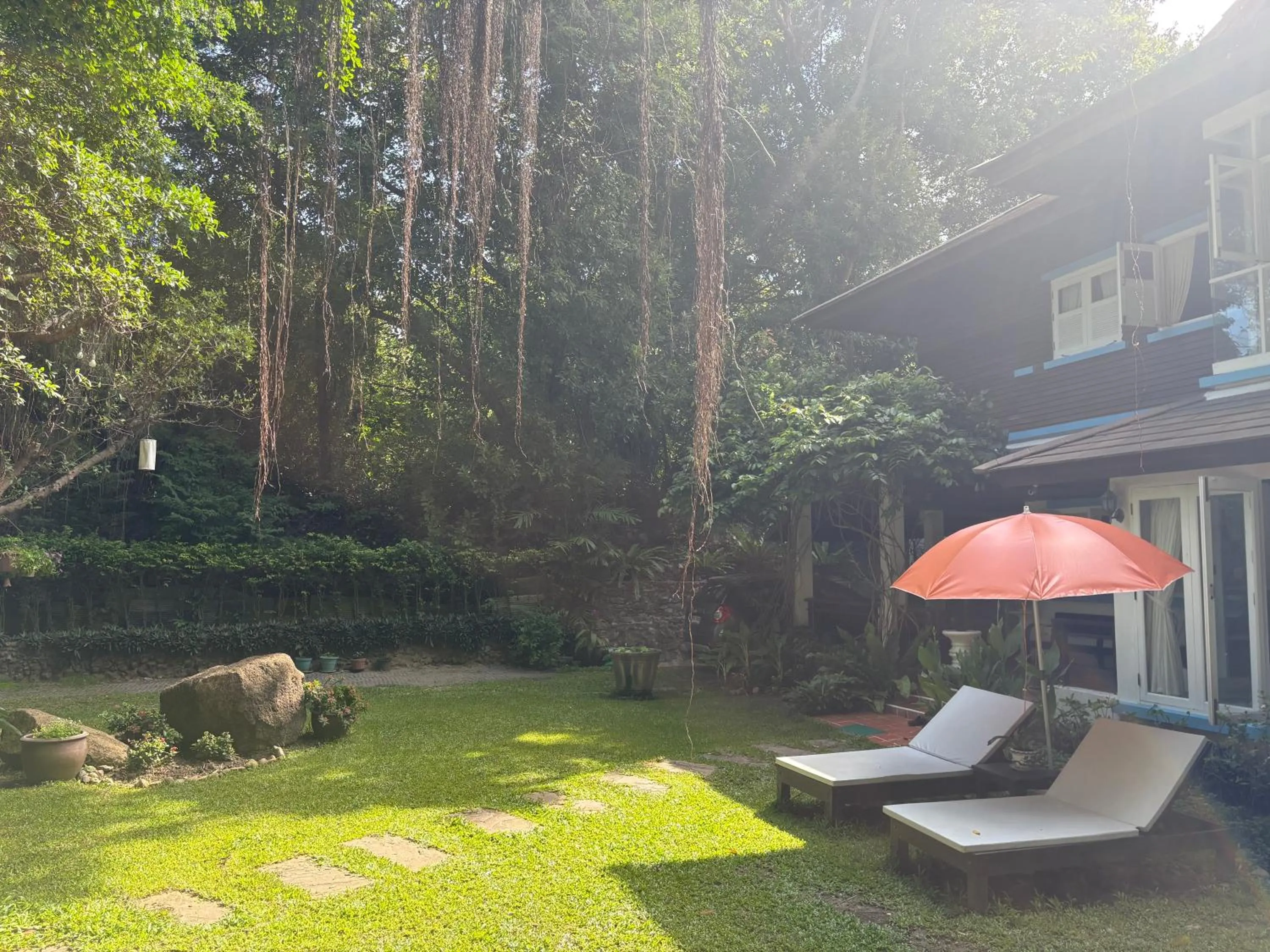 Garden in Banyan House Samui bed and breakfast (Adult Only)