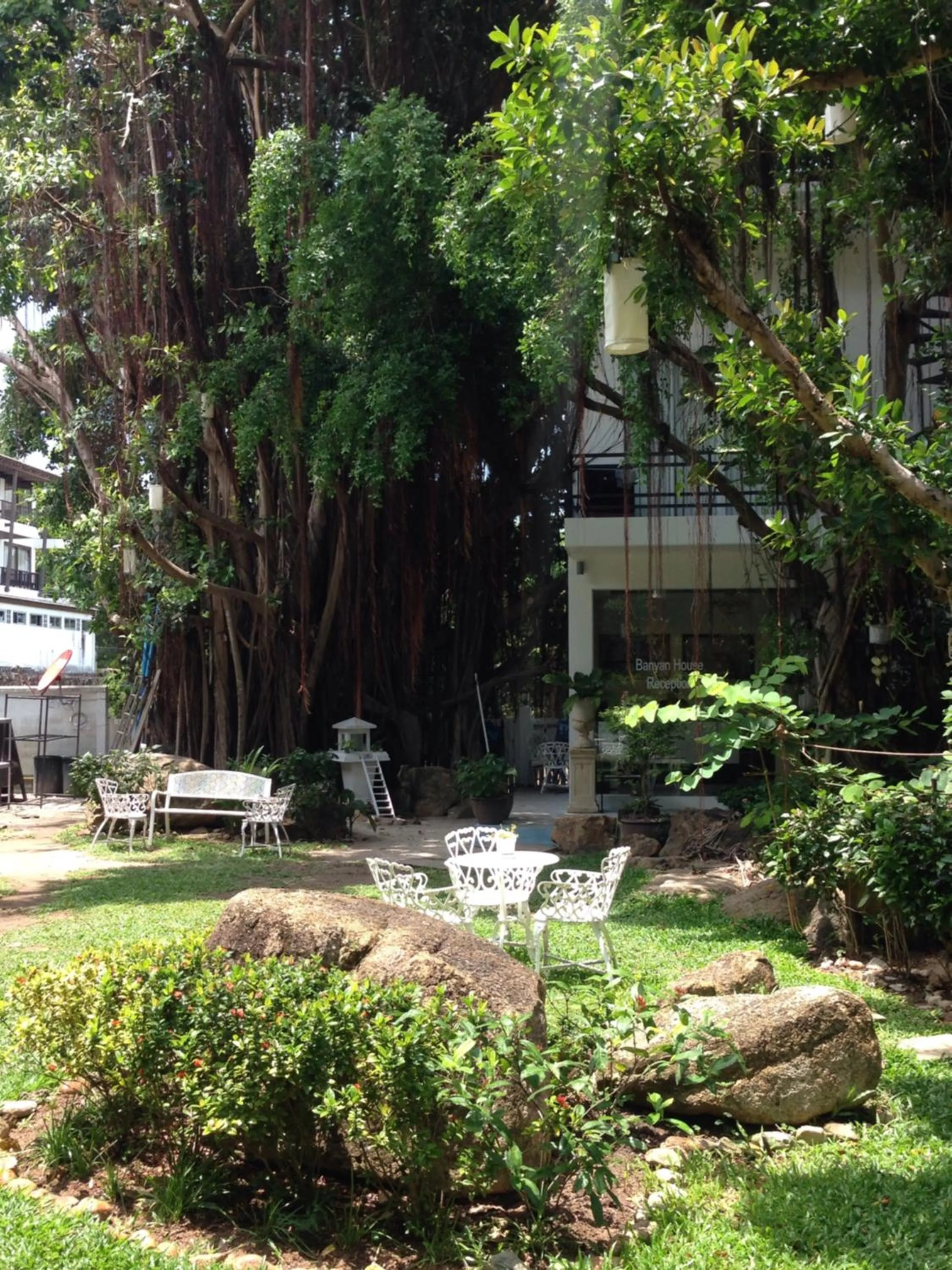 Garden in Banyan House Samui bed and breakfast (Adult Only)