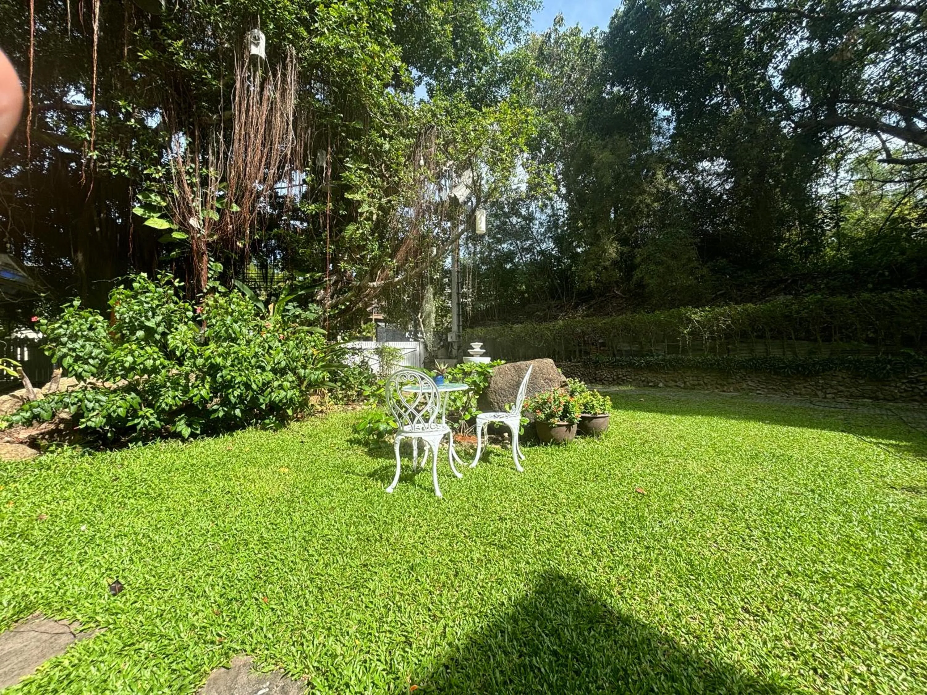 Garden in Banyan House Samui bed and breakfast (Adult Only)