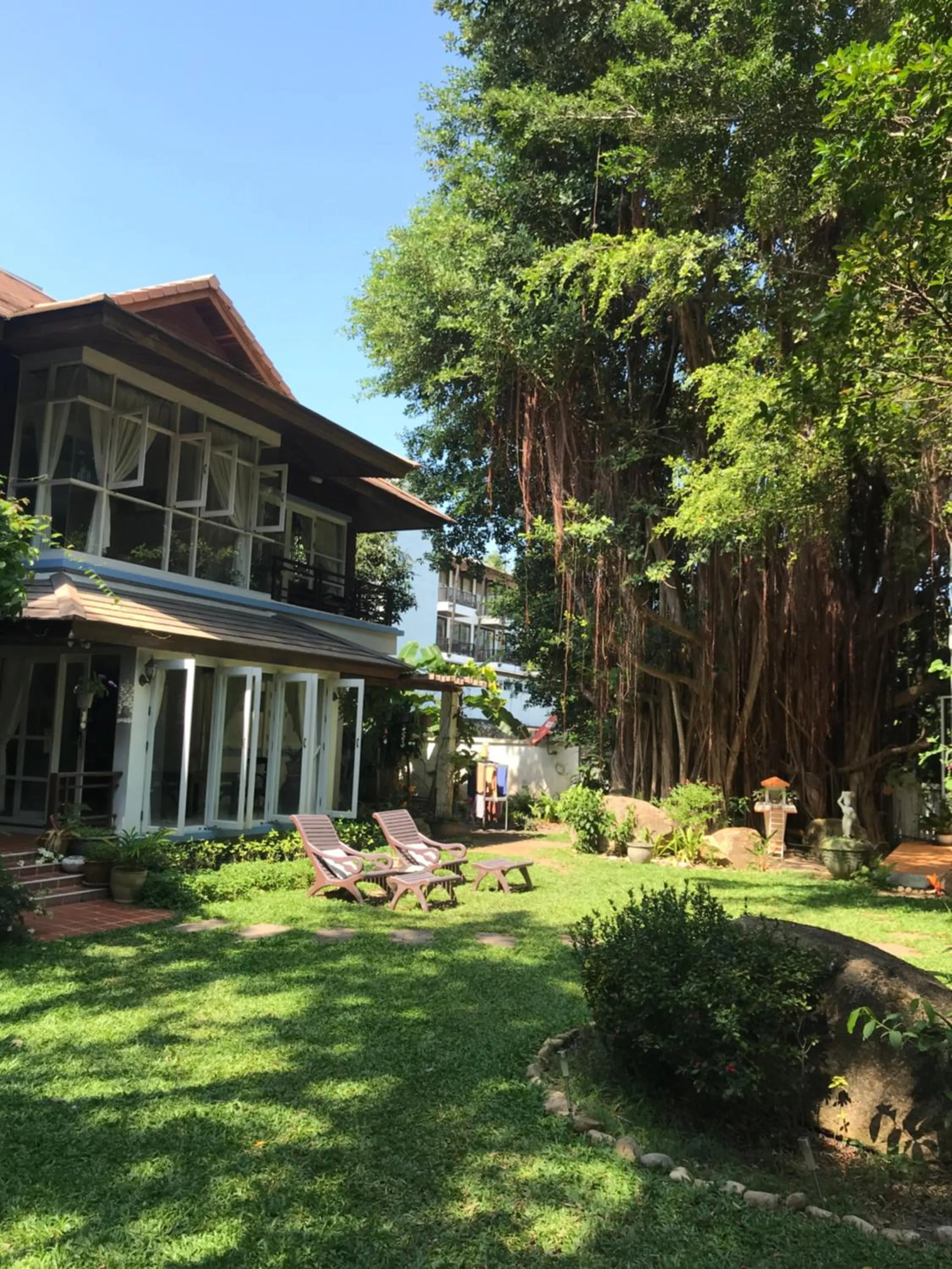 Garden in Banyan House Samui bed and breakfast (Adult Only)