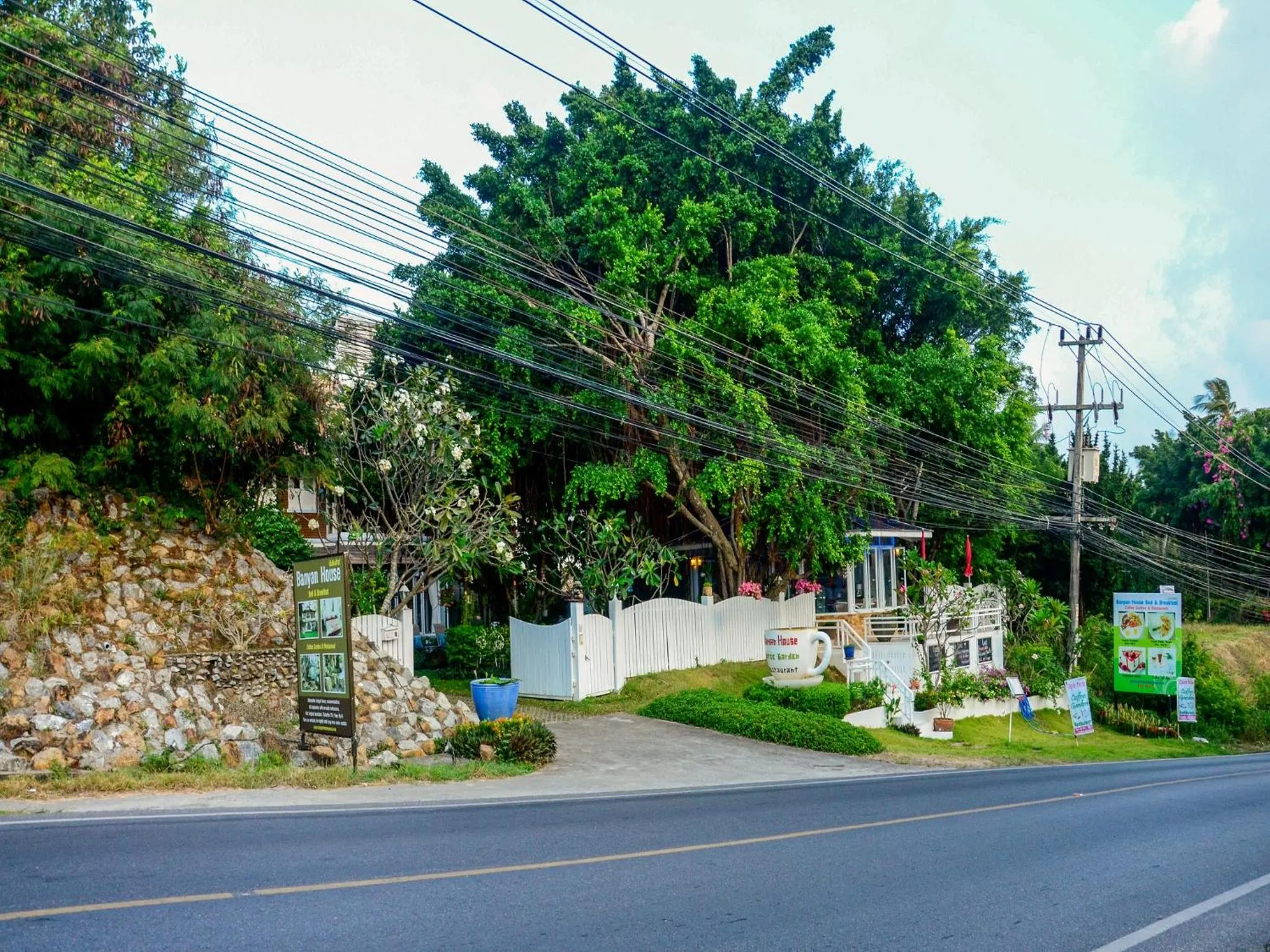 Street view in Banyan House Samui bed and breakfast (Adult Only)