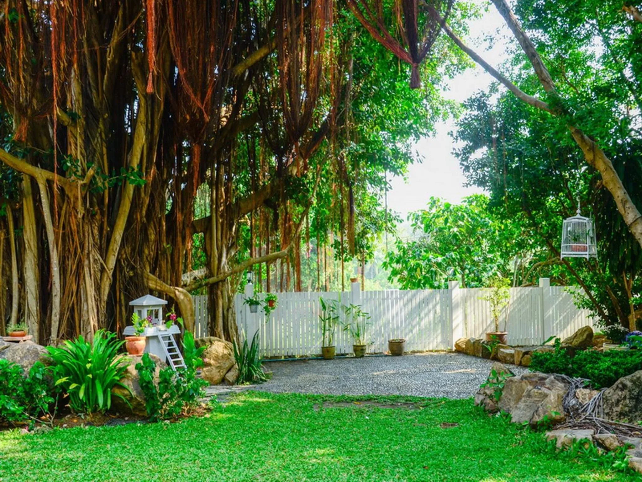 Garden in Banyan House Samui bed and breakfast (Adult Only)