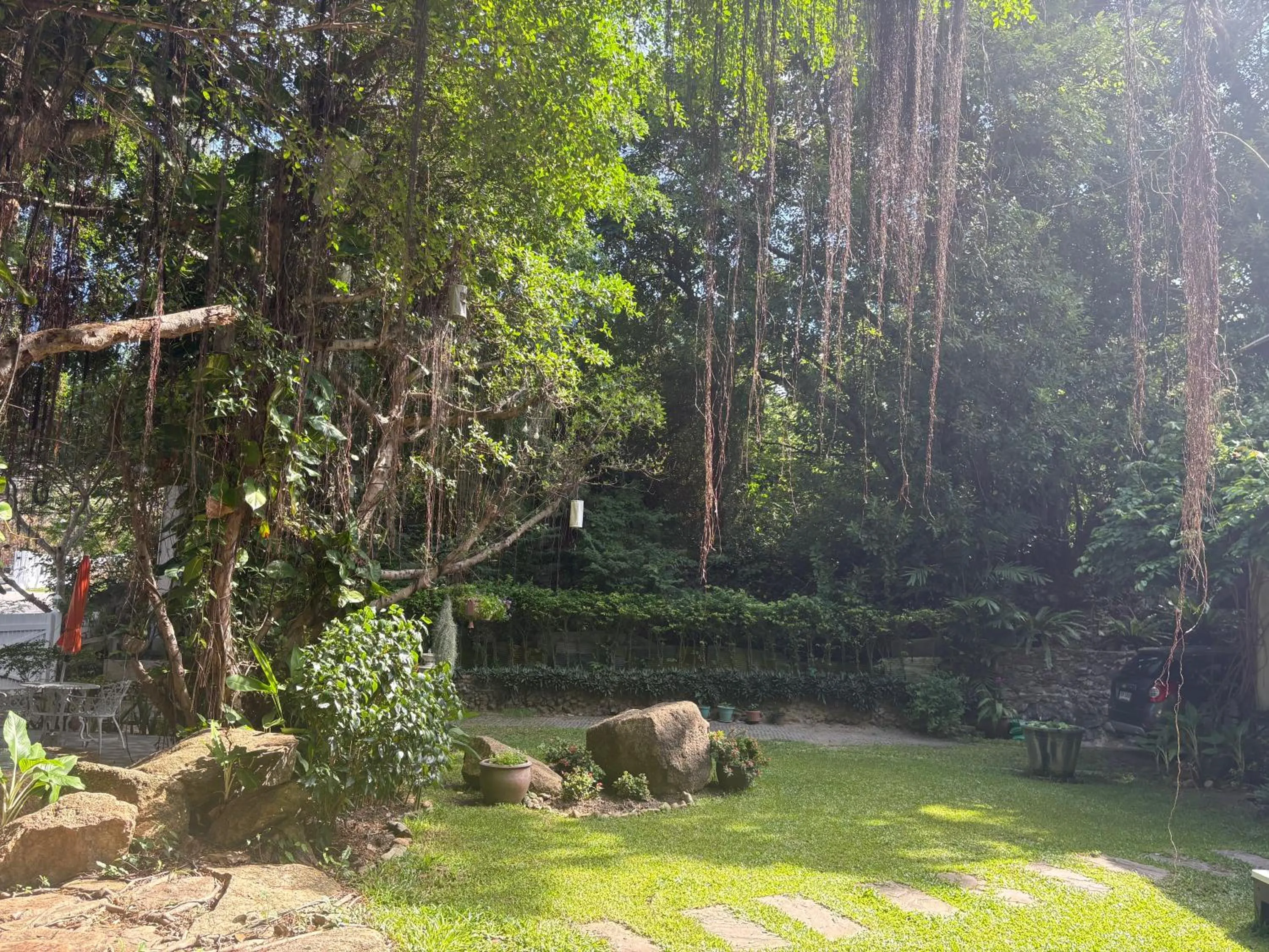 Garden view in Banyan House Samui bed and breakfast (Adult Only)