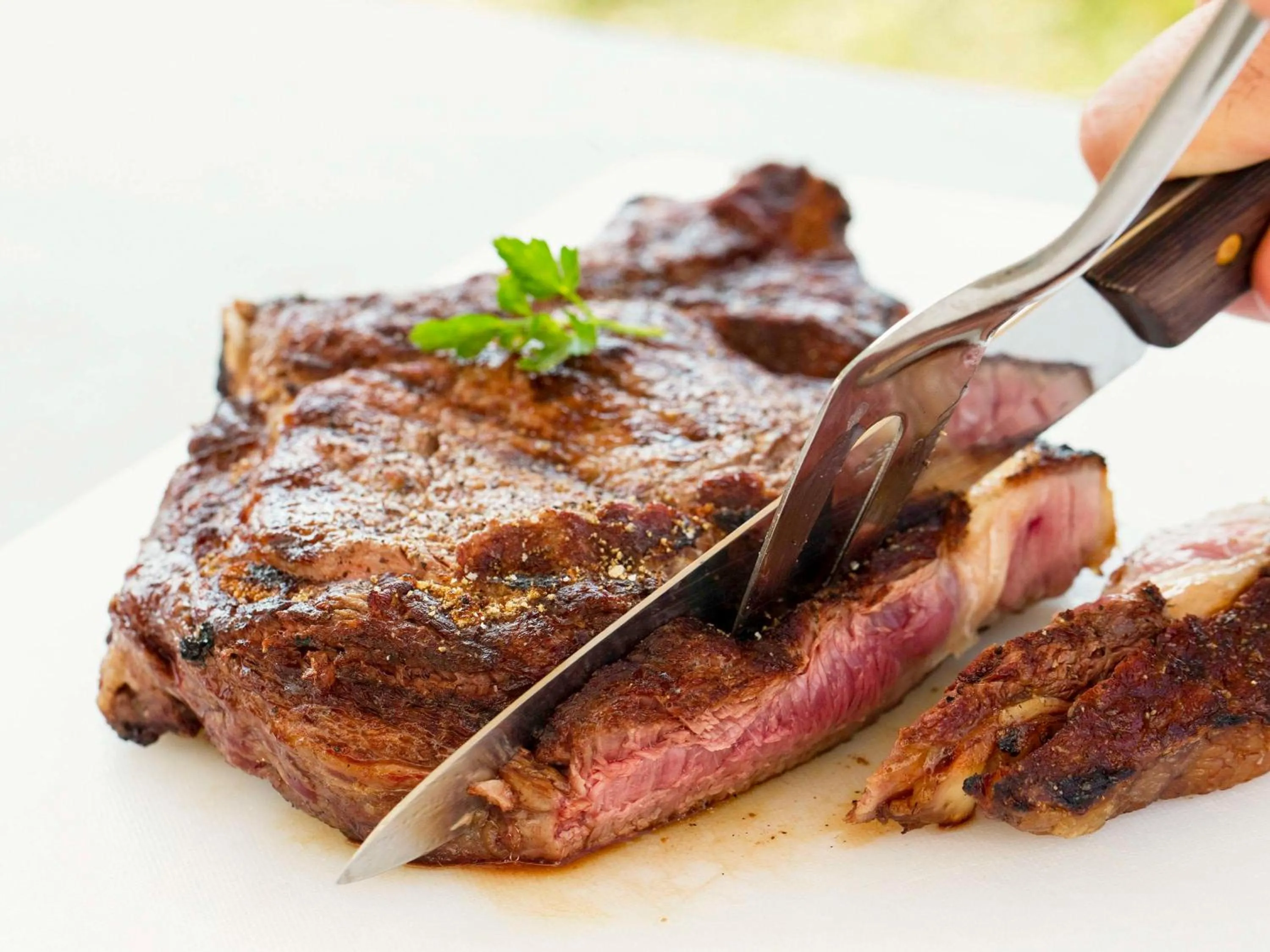 Restaurant/places to eat in Hotel Mermoz Paris Le Bourget