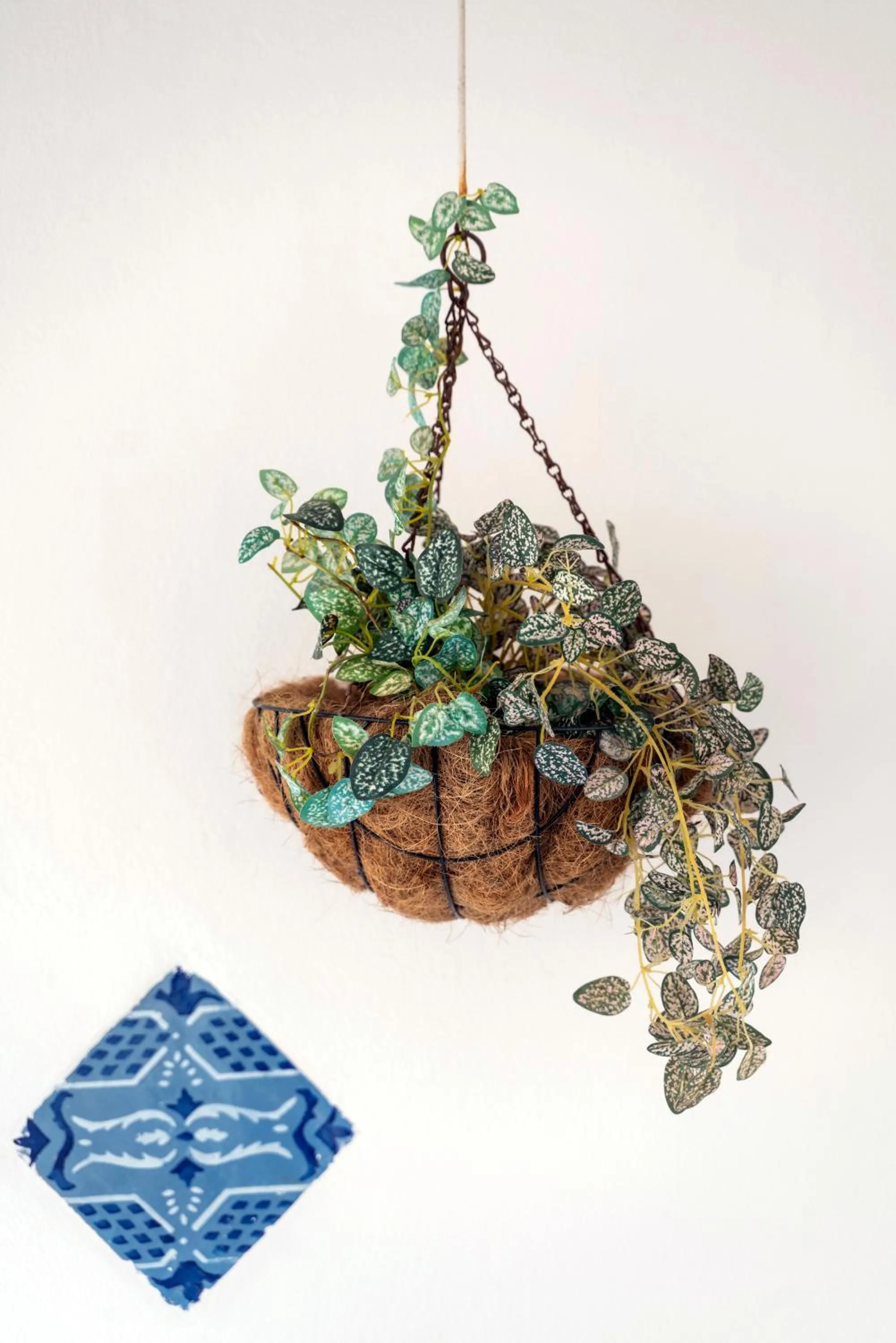 Balcony/Terrace in Residence Garibaldi