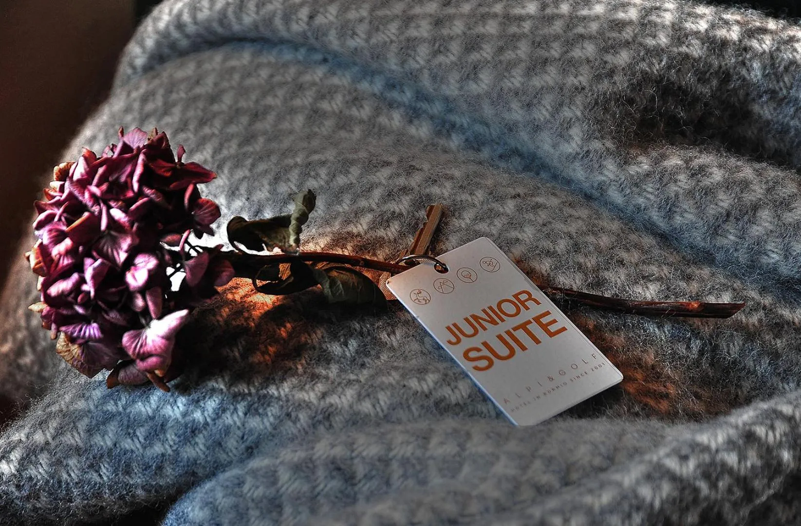 Decorative detail in Alpi & Golf Hotel