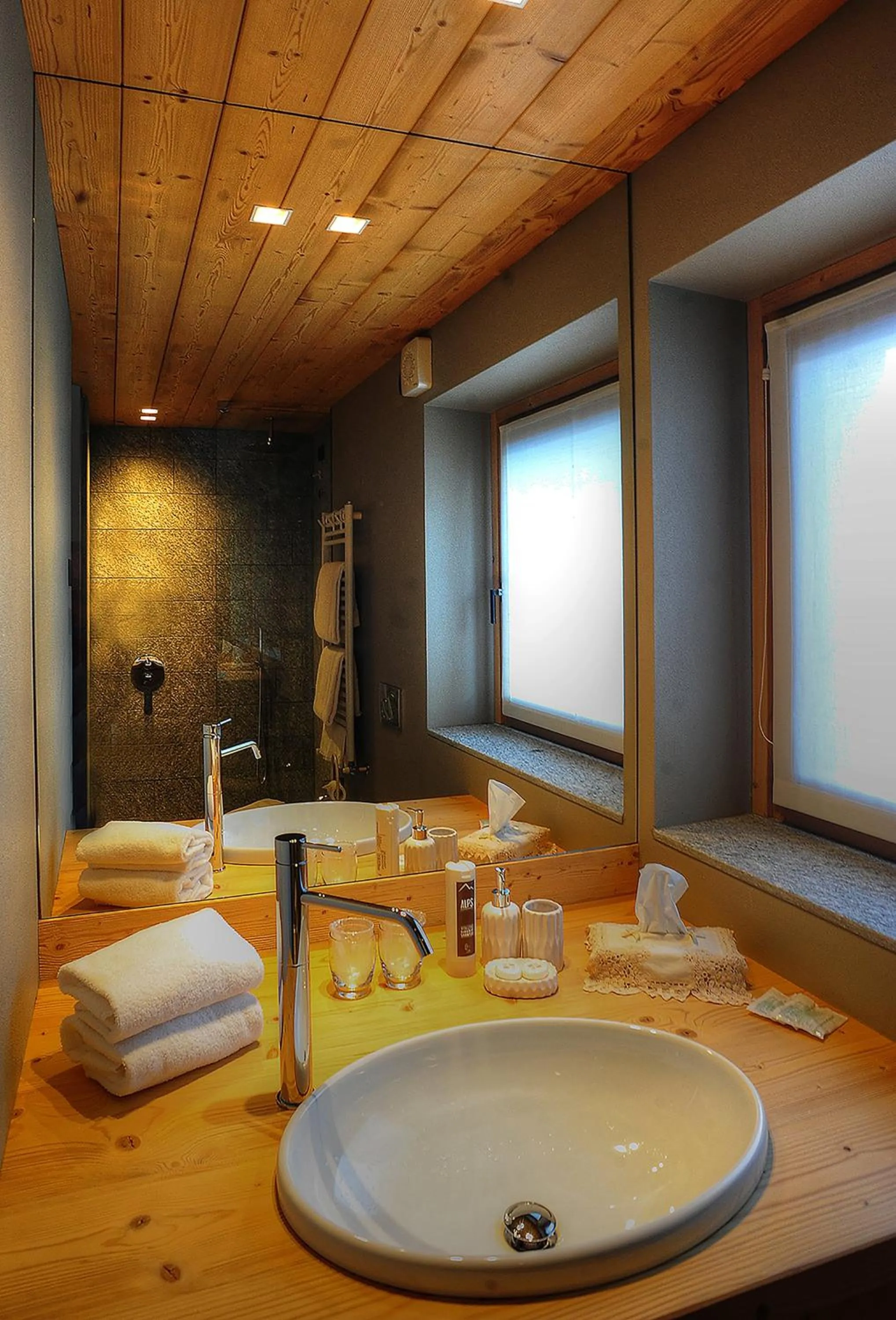 Shower in Alpi & Golf Hotel