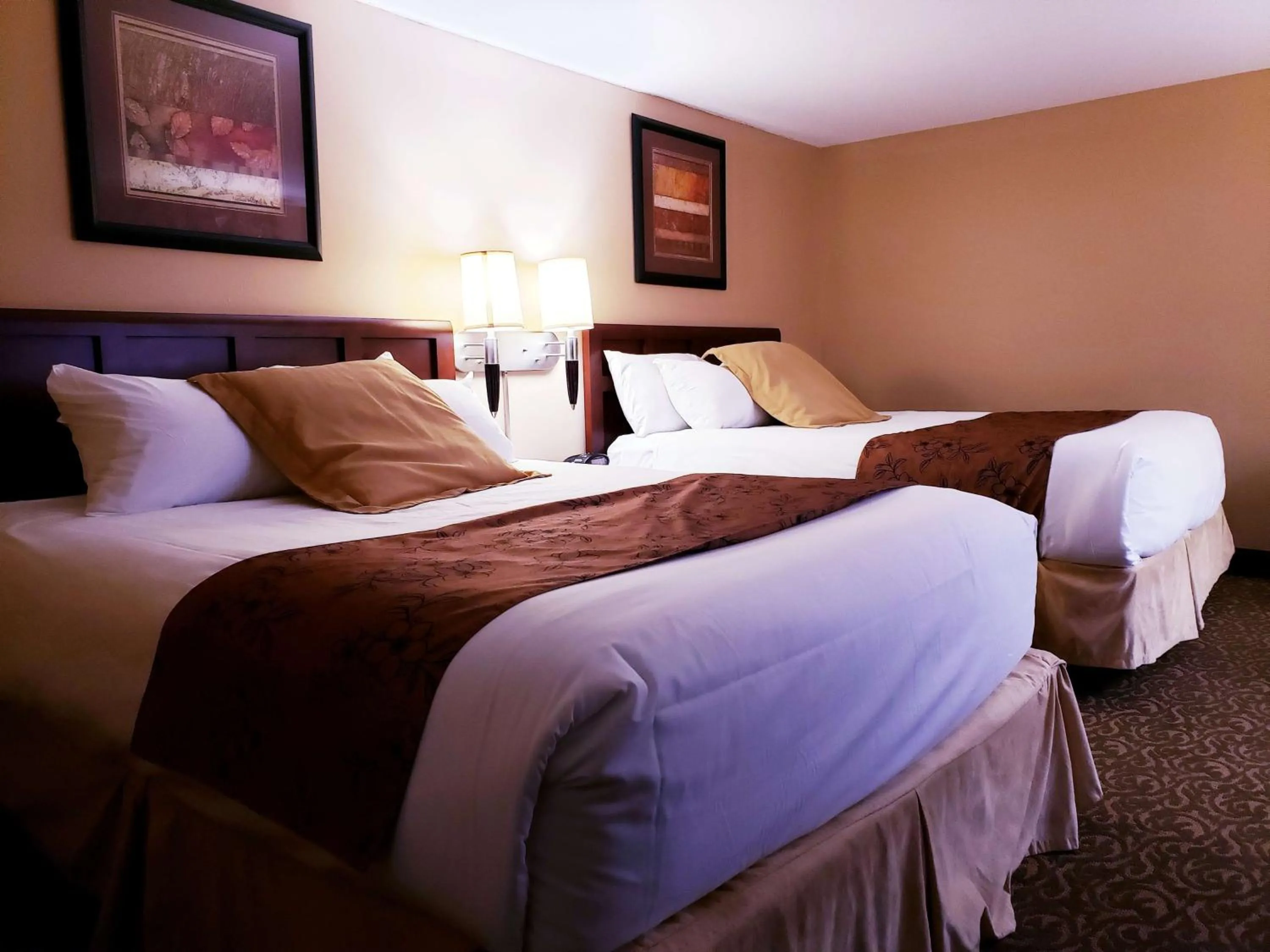 Queen Suite with Two Queen Beds - Non-Smoking in SureStay Plus Hotel by Best Western Black River Falls