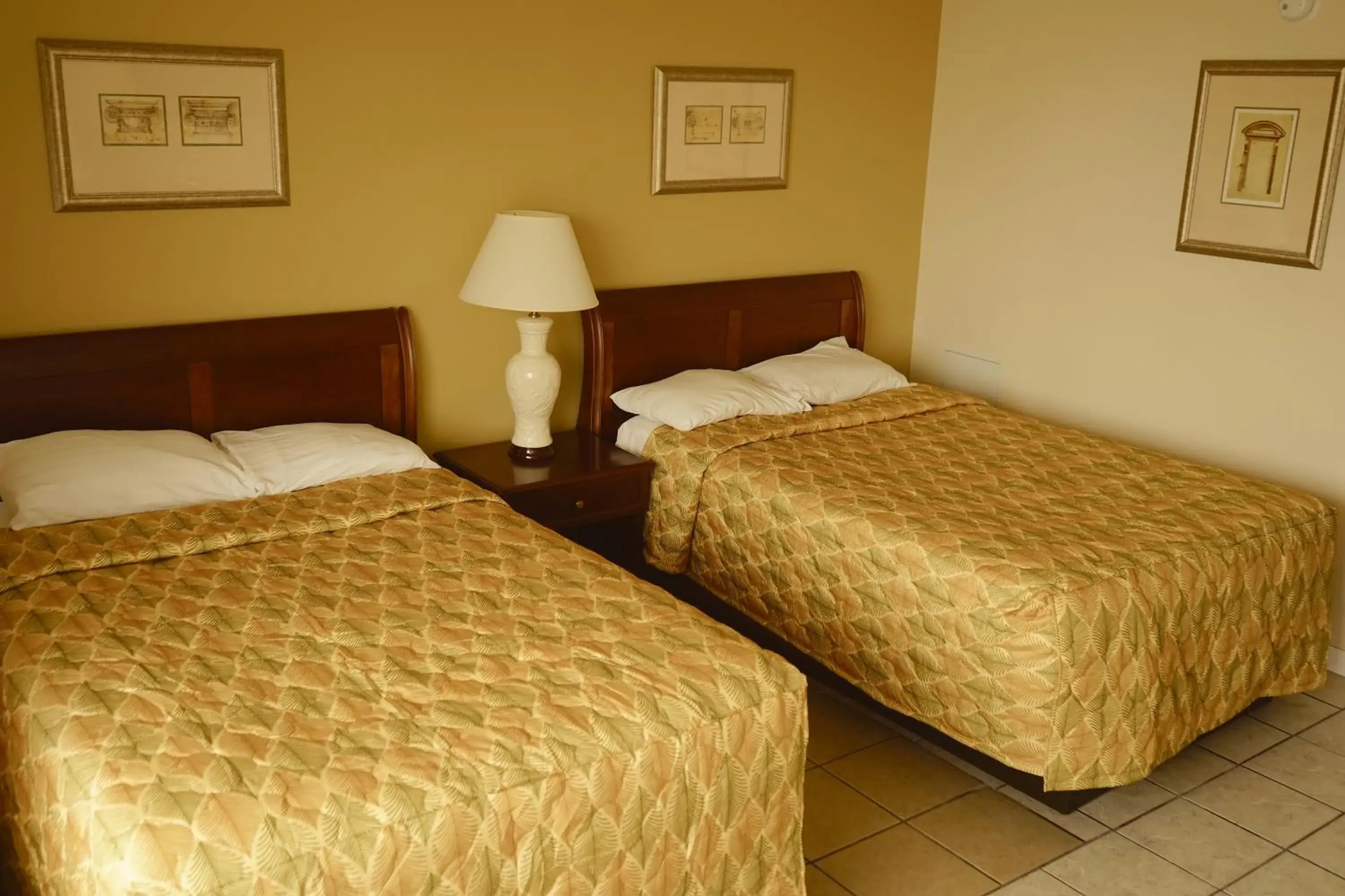 Standard Family Room (Pet-Friendly) in Sea Cove Motel Ocean City Standard Family Room (Pet-Friendly) in Sea Cove Motel Ocean City