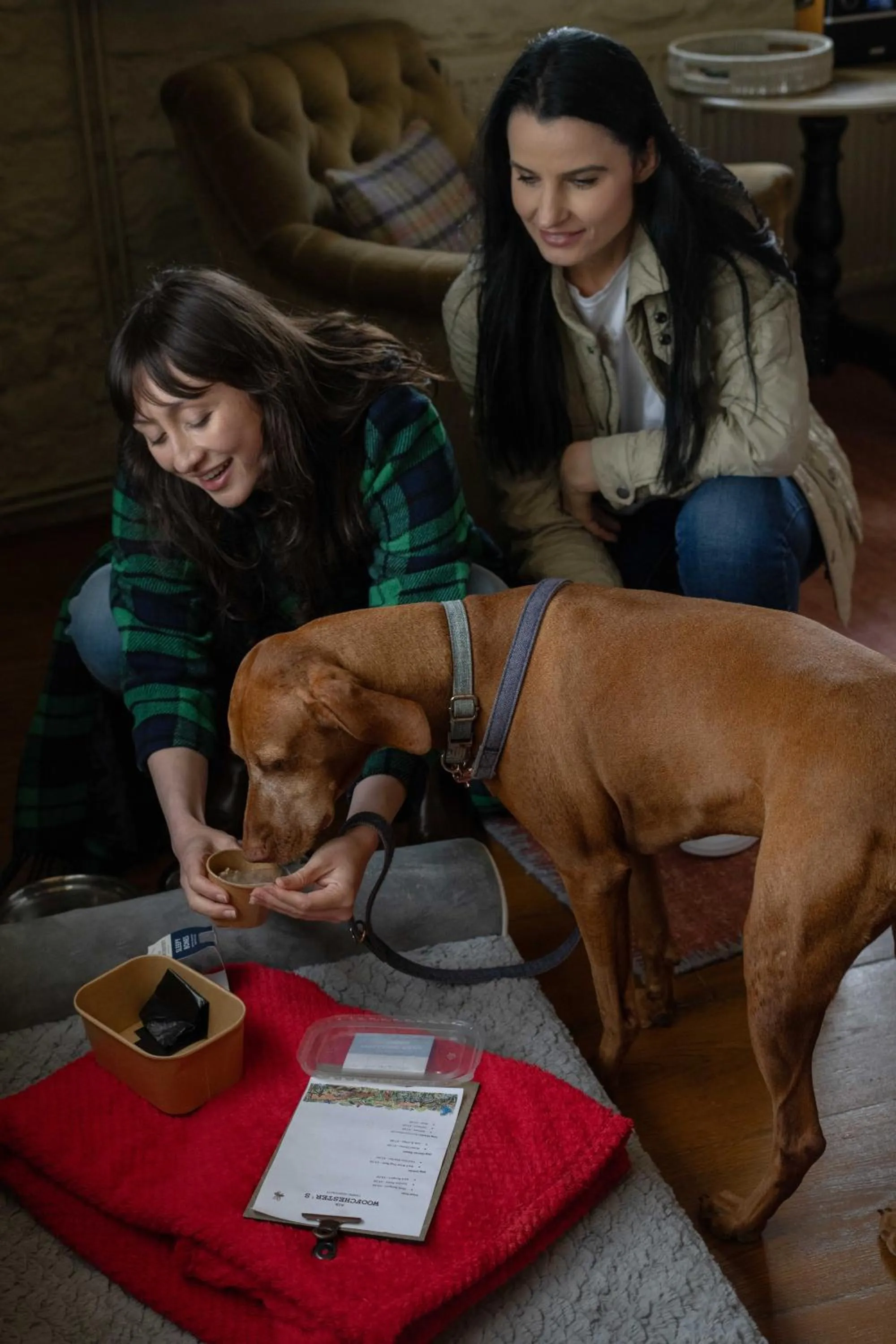 Pets in The Winning Post