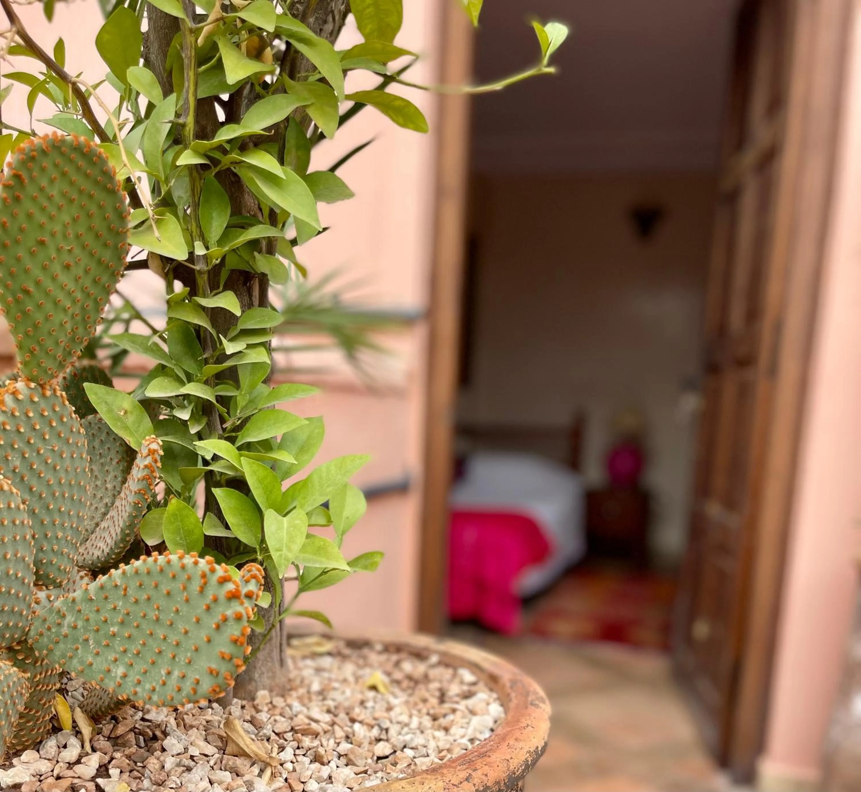 View (from property/room) in Riad Elias & Spa