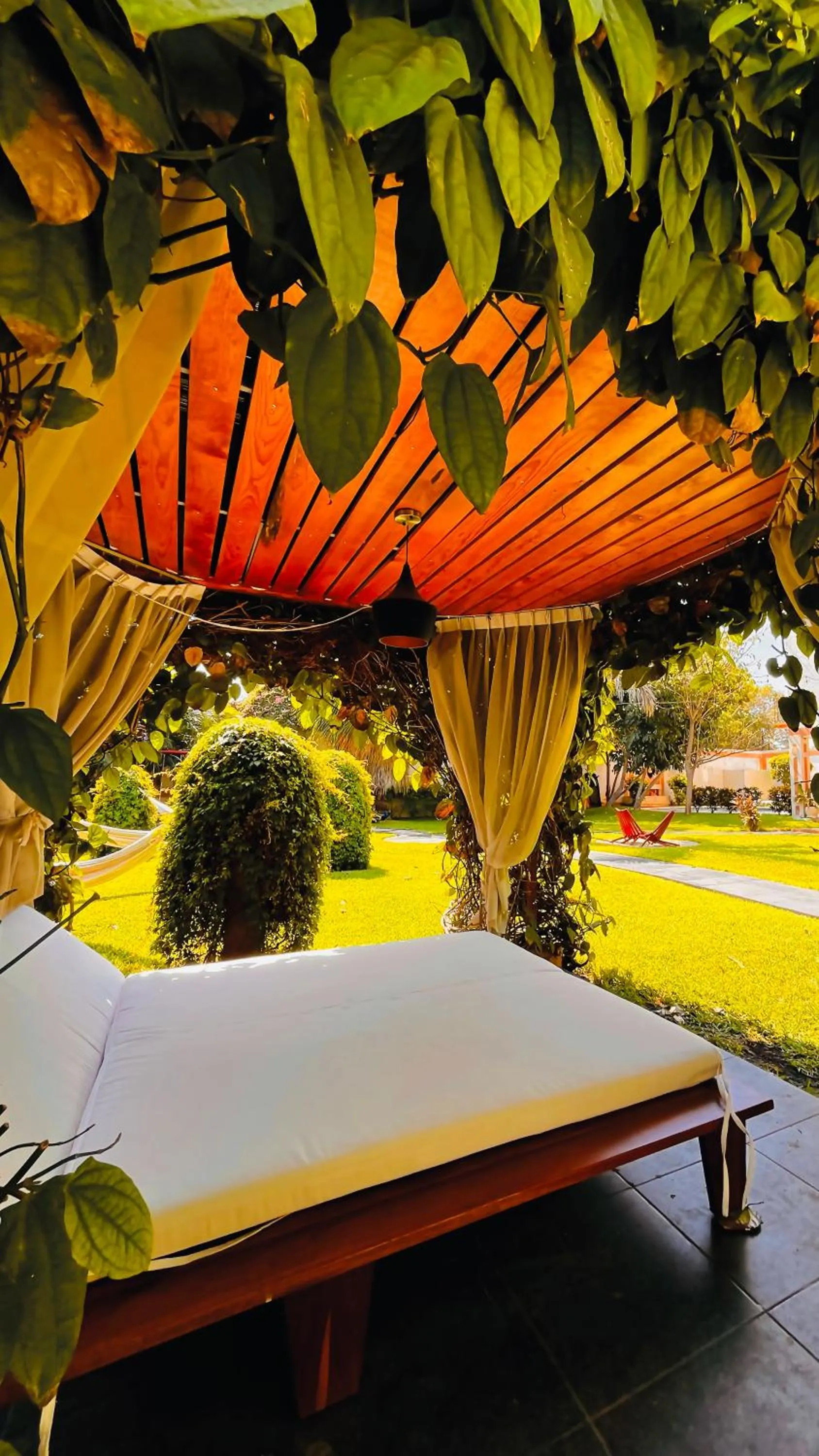 Garden in Hotel Palacio Maya