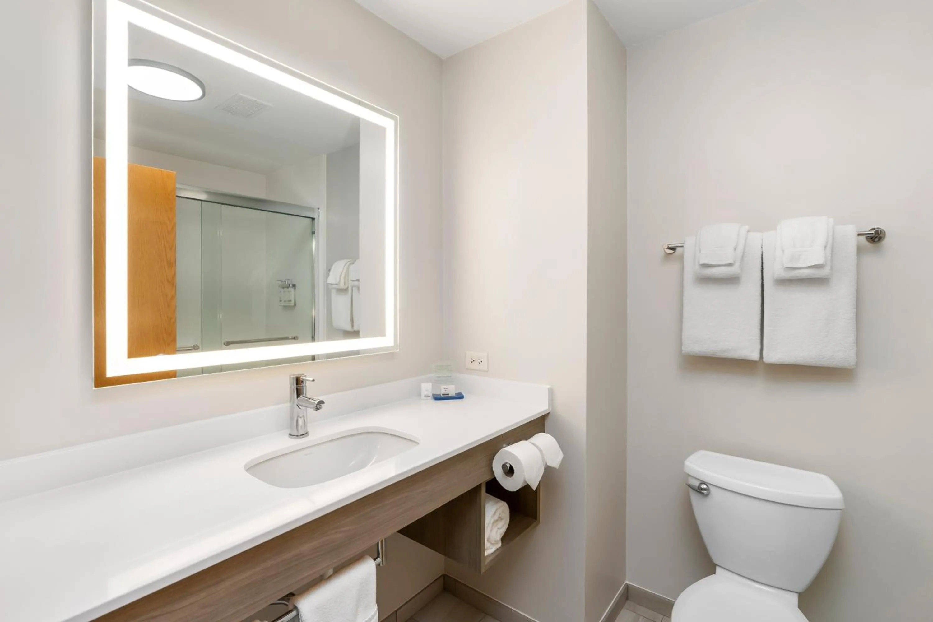 Bathroom in Holiday Inn Express Peru-Lasalle Area by IHG