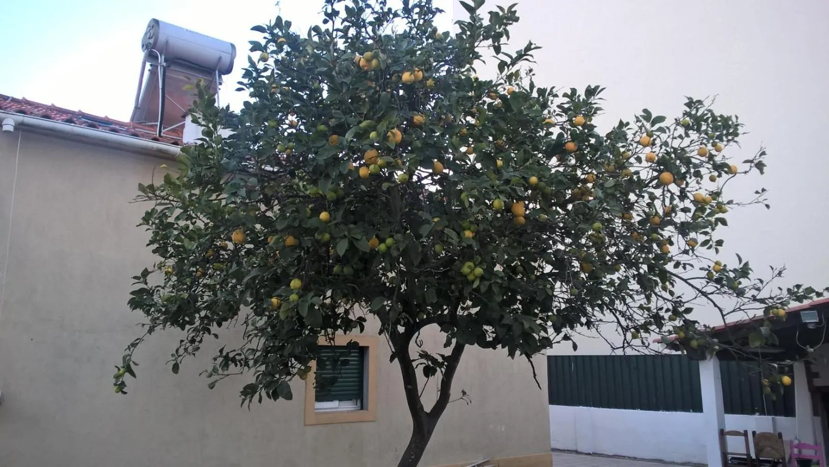 Property building in Casa do Limoeiro