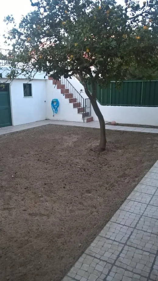 Property building in Casa do Limoeiro