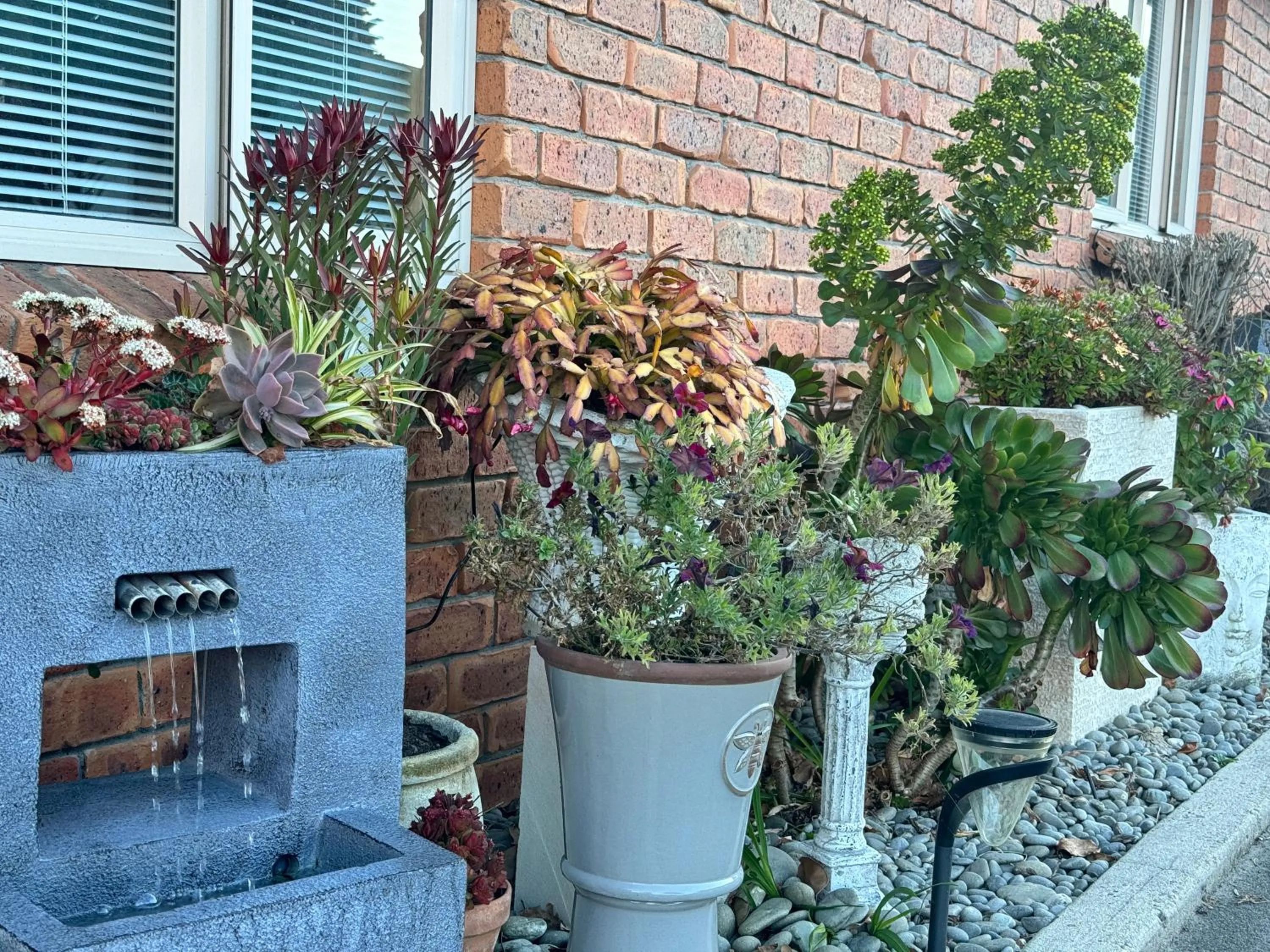 Garden in ASURE Ambassador Motor Lodge