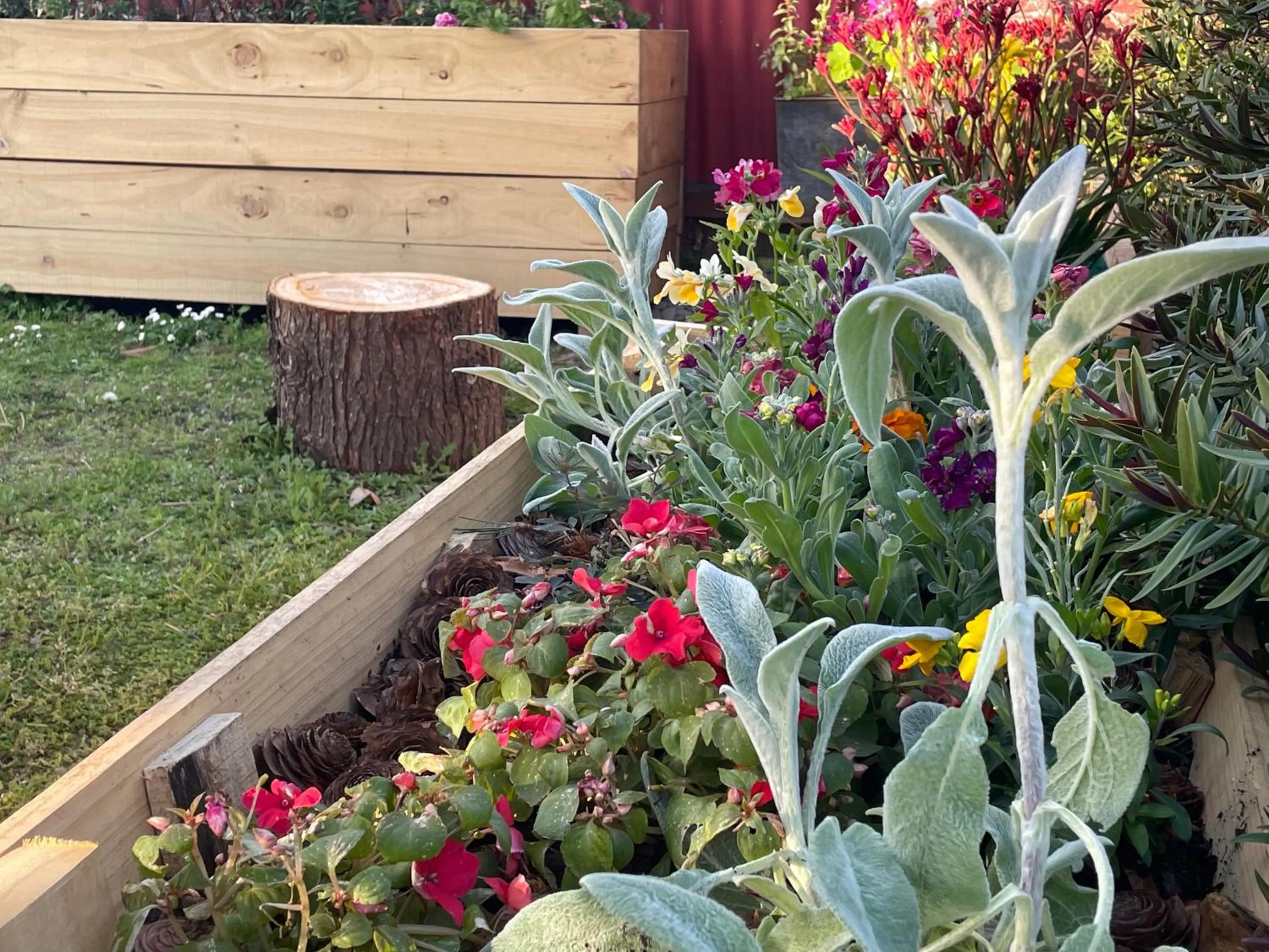 ASURE Ambassador Motor Lodge