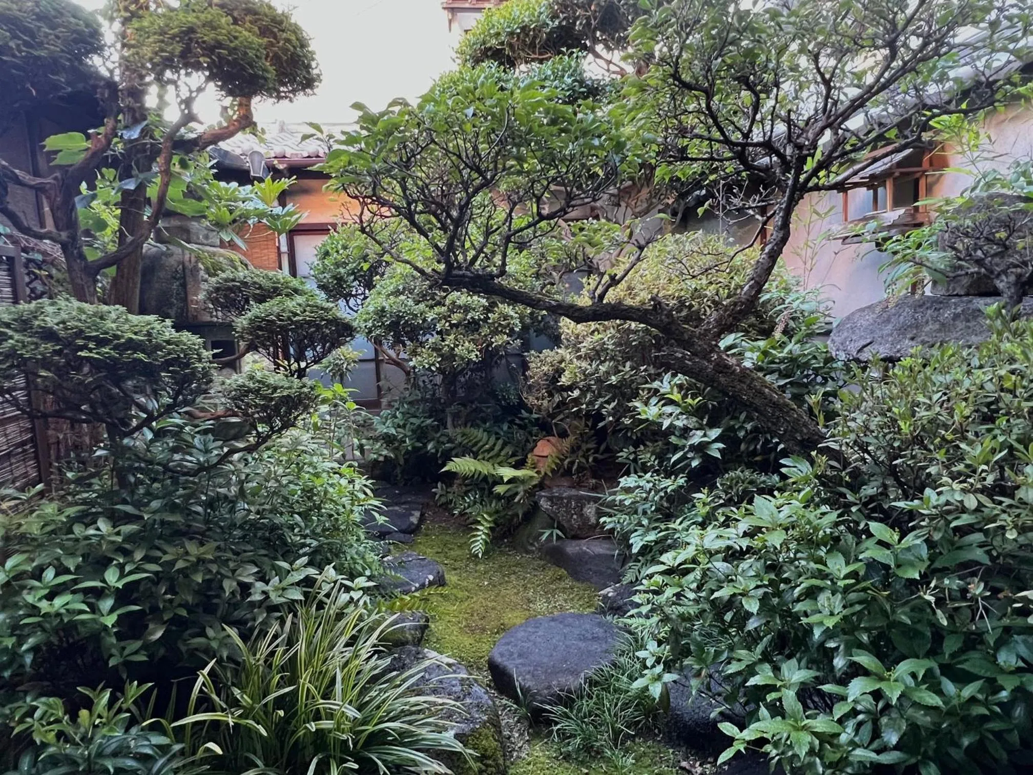 Natural landscape in Guesthouse Naramachi