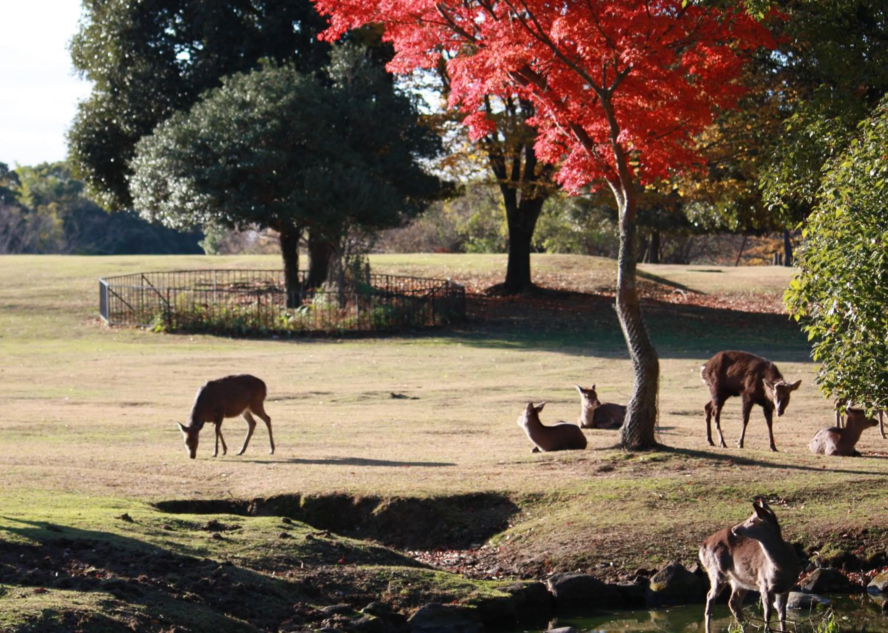 Off site in Guesthouse Naramachi