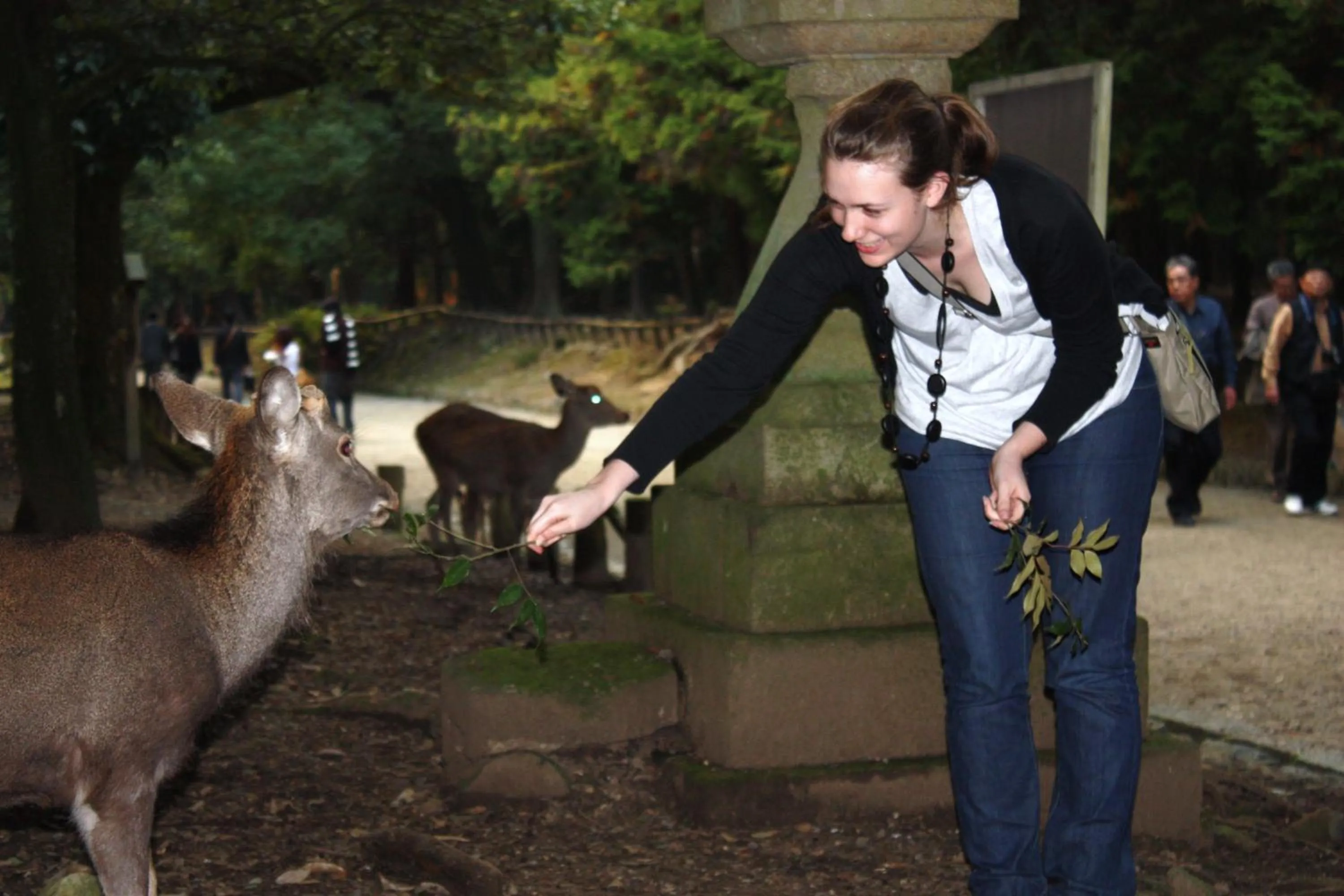 Nearby landmark in Guesthouse Naramachi