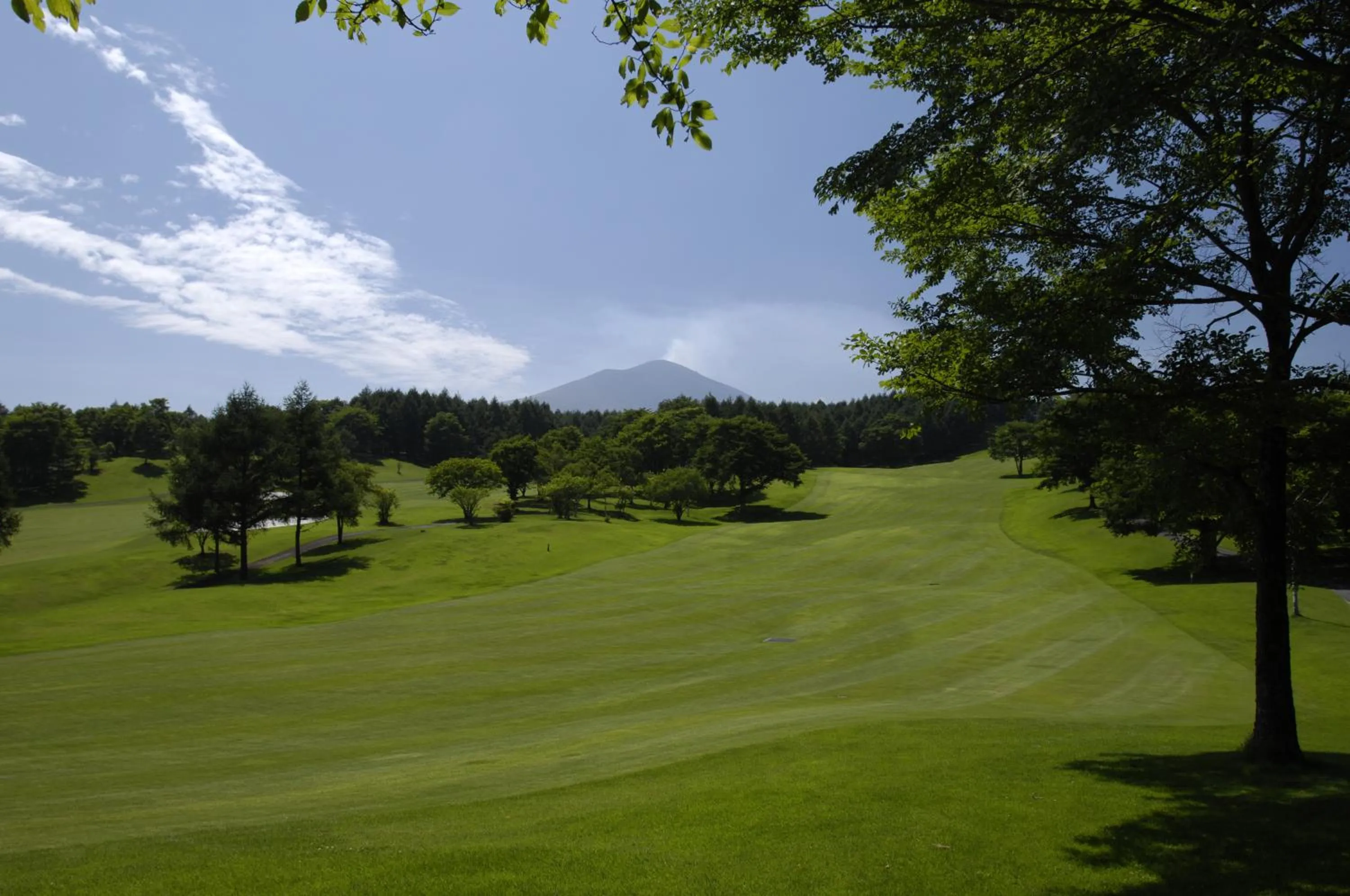 Golfcourse in Villa the Club Karuizawa