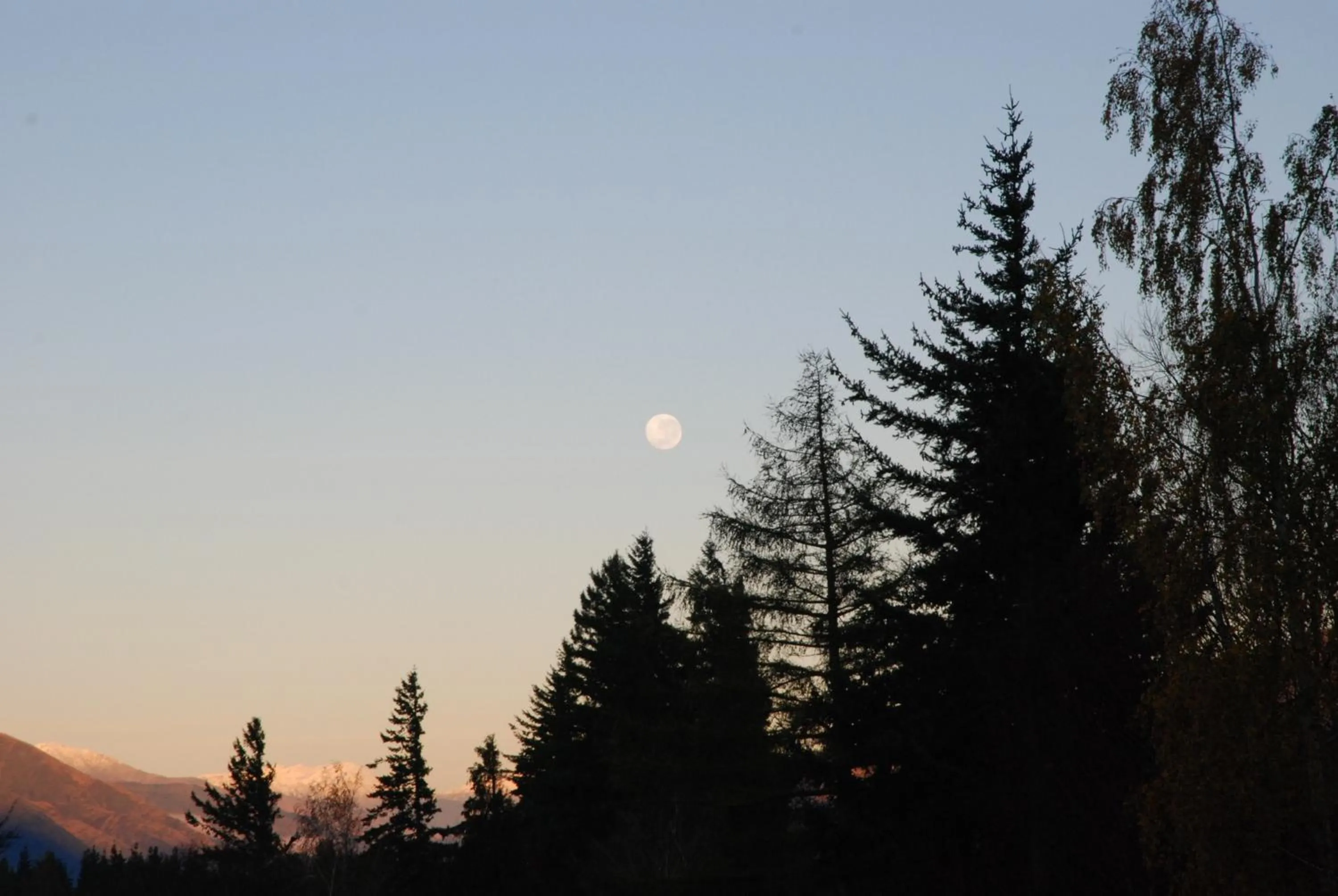 Night in The Chalets Motel
