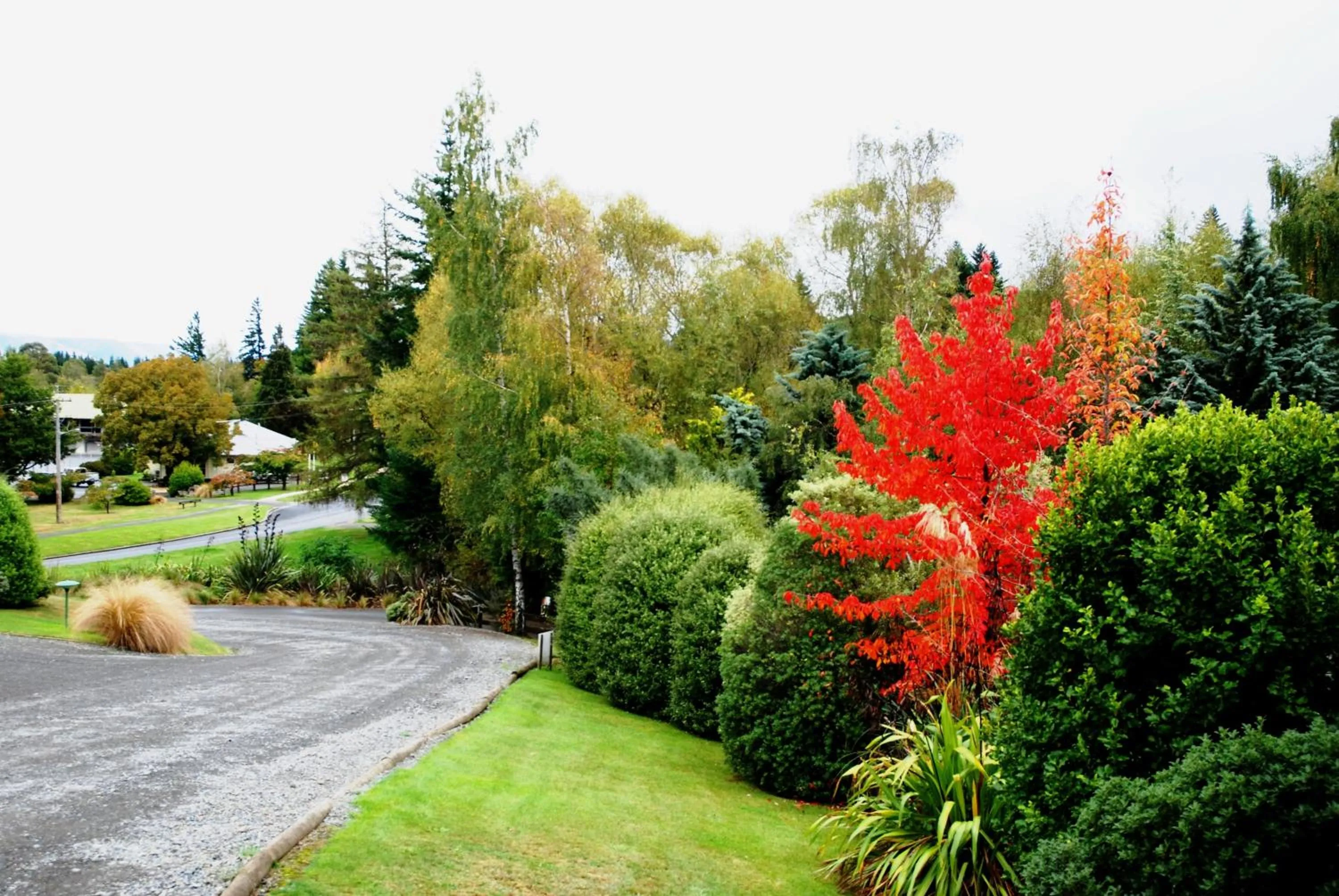 View (from property/room) in The Chalets Motel