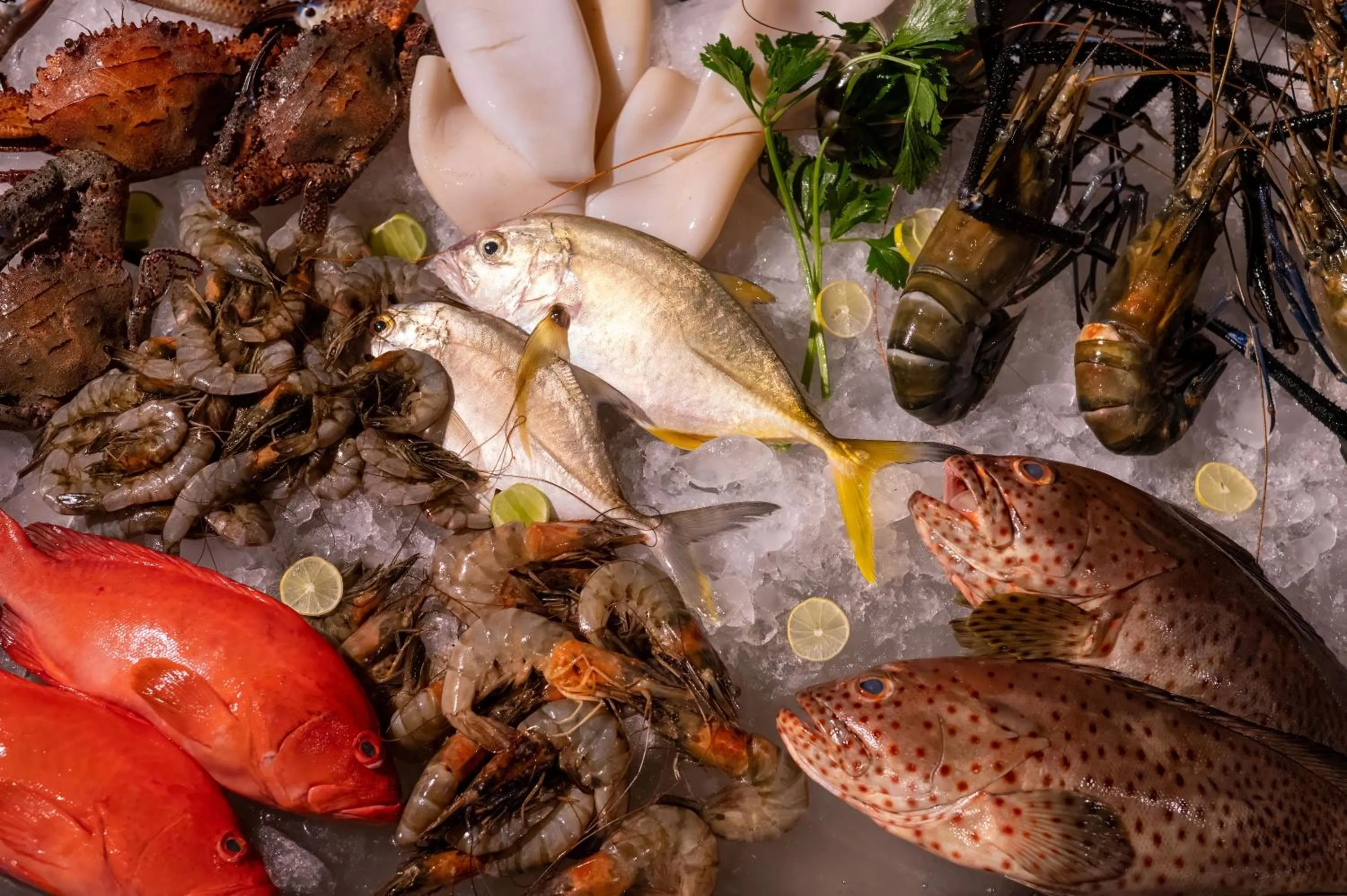 Restaurant/places to eat in The Palms