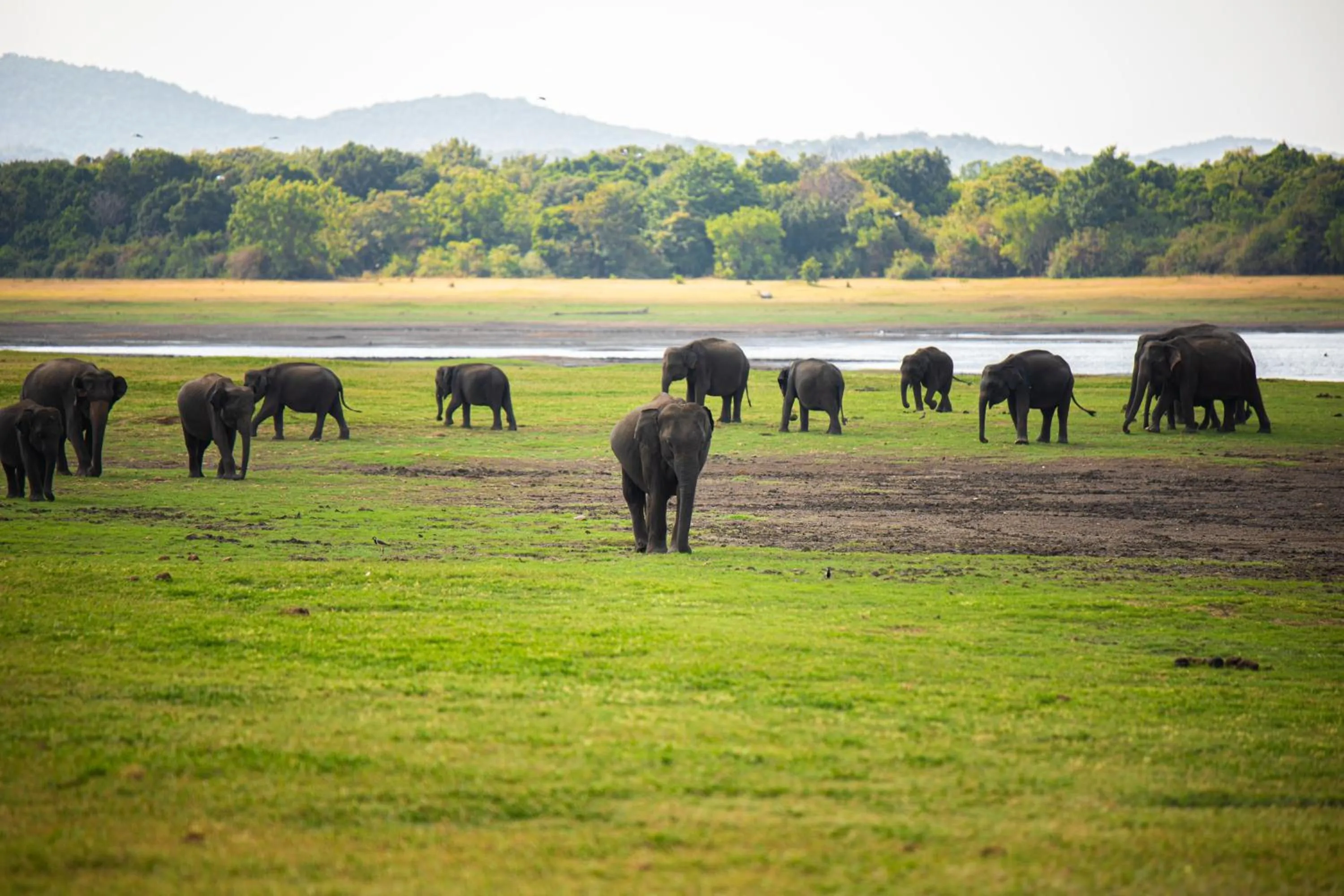 Activities in Sigiriya Village