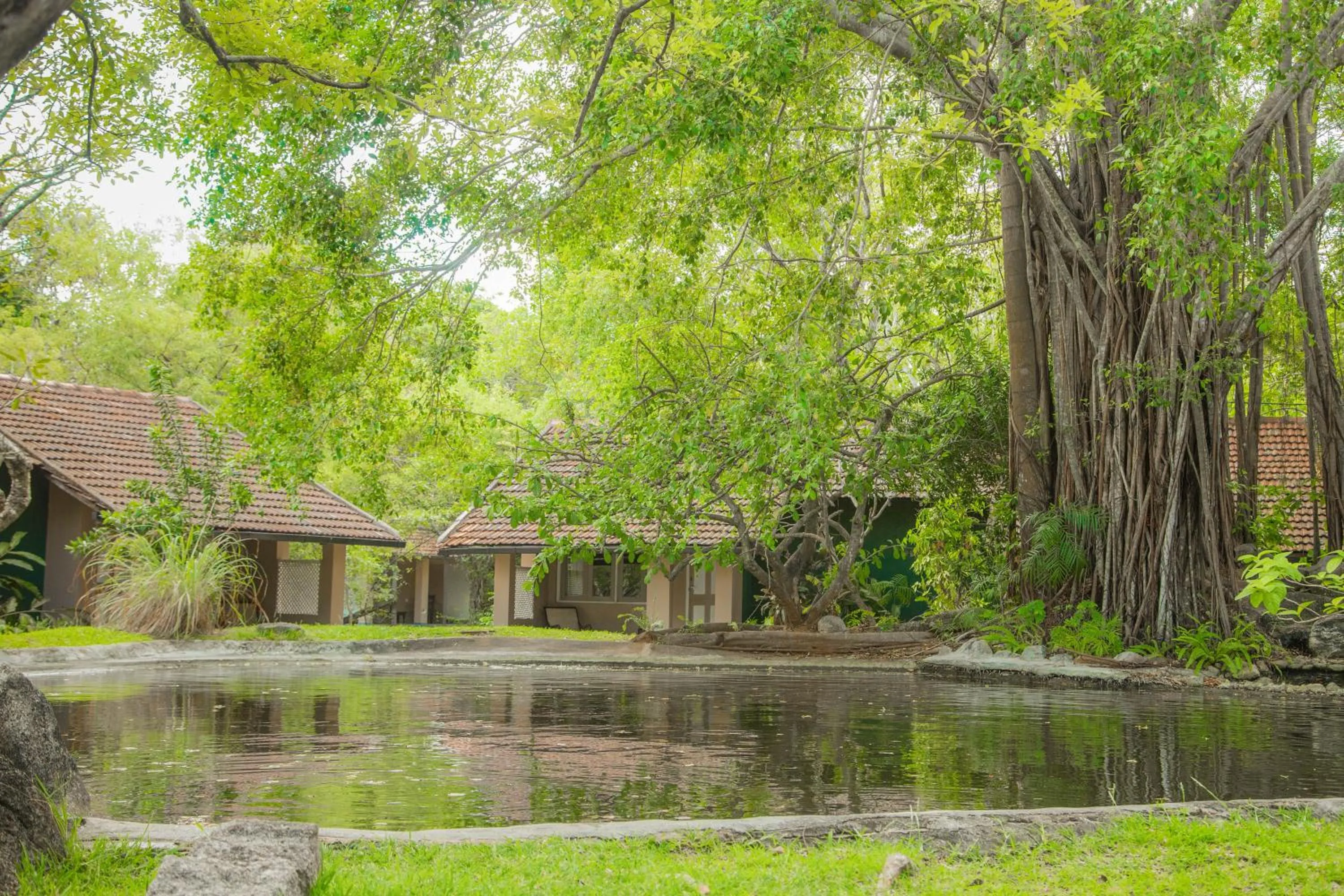 Garden in Sigiriya Village
