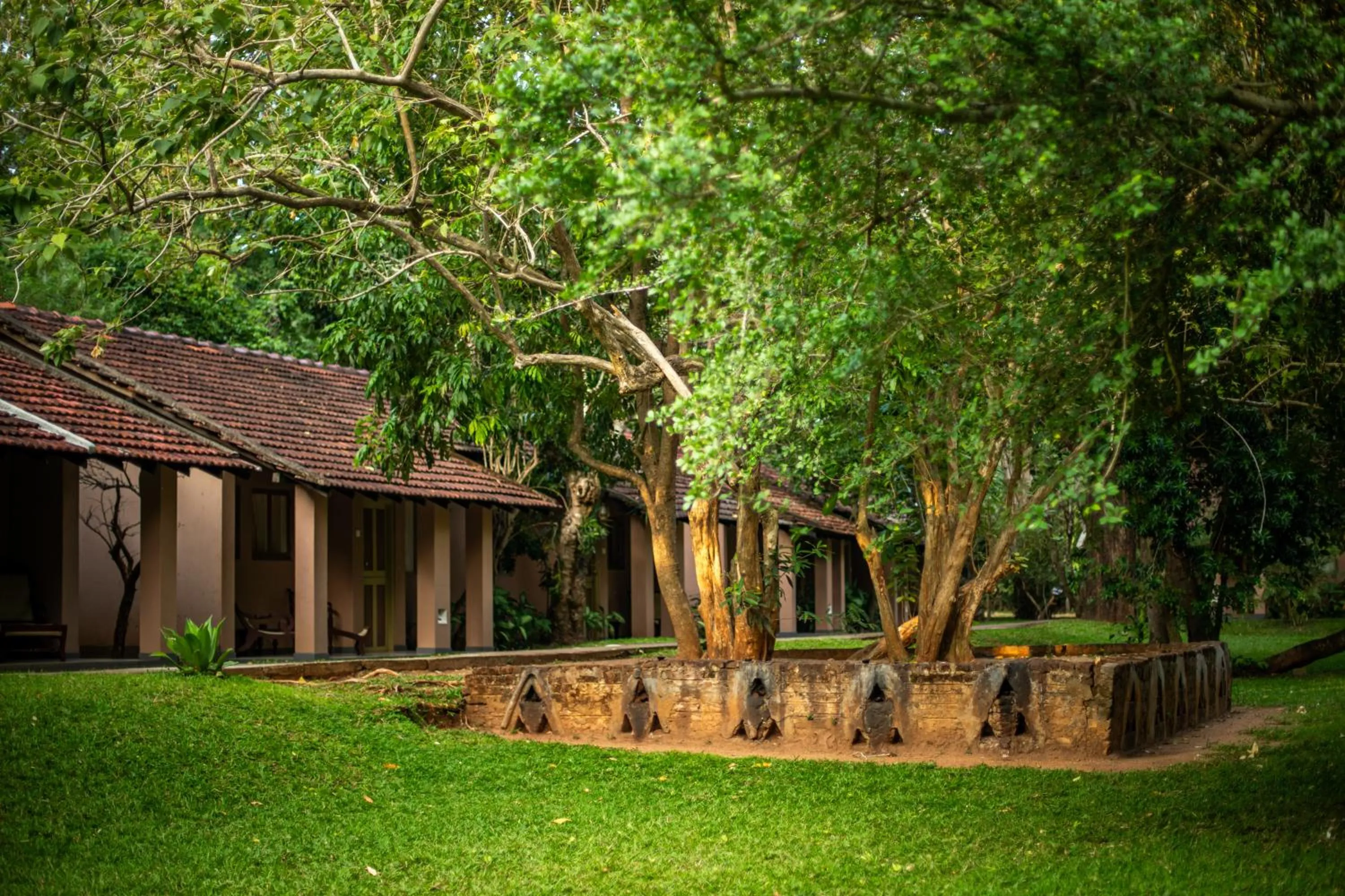 Property building in Sigiriya Village