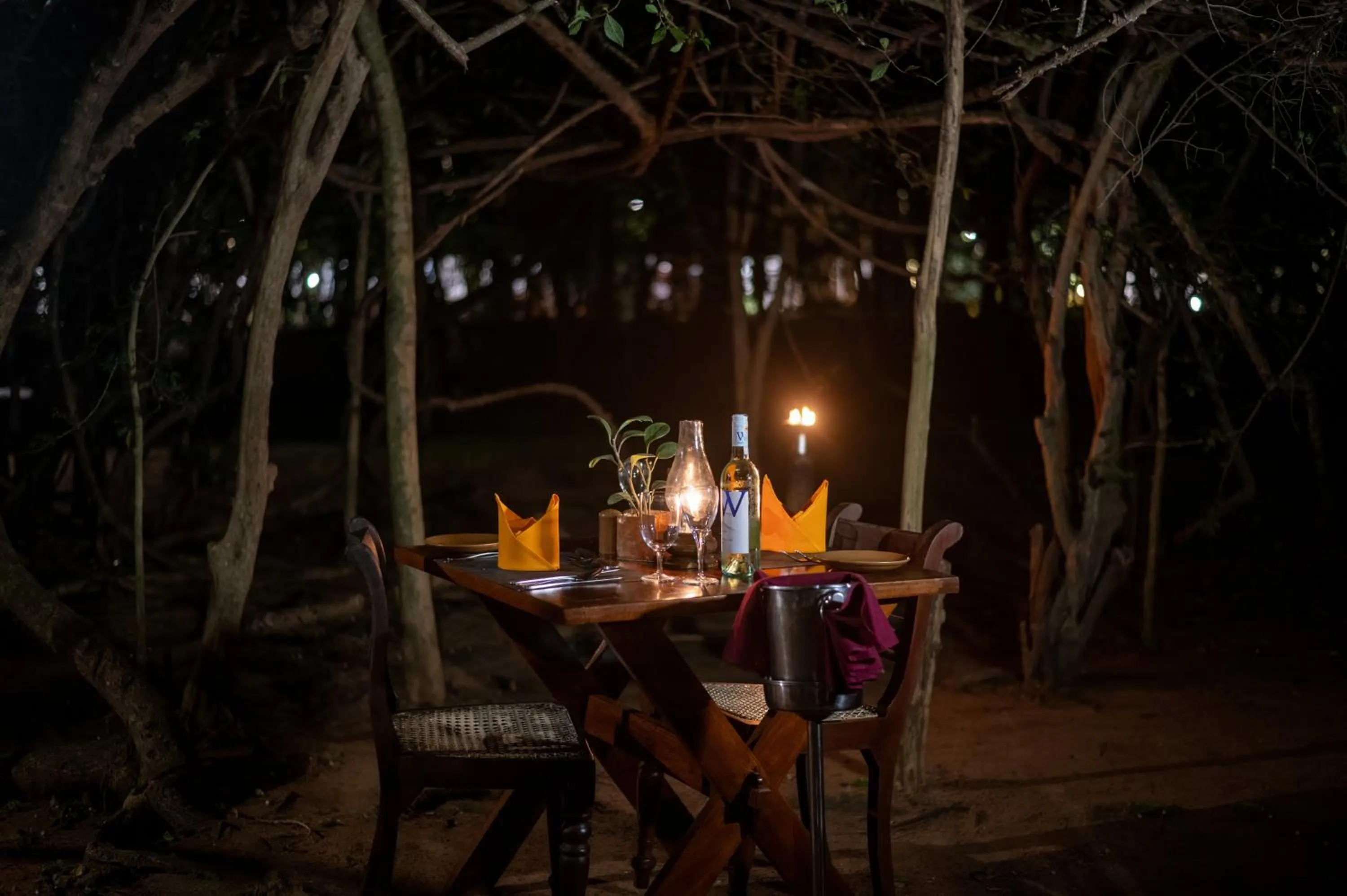 Dinner in Sigiriya Village