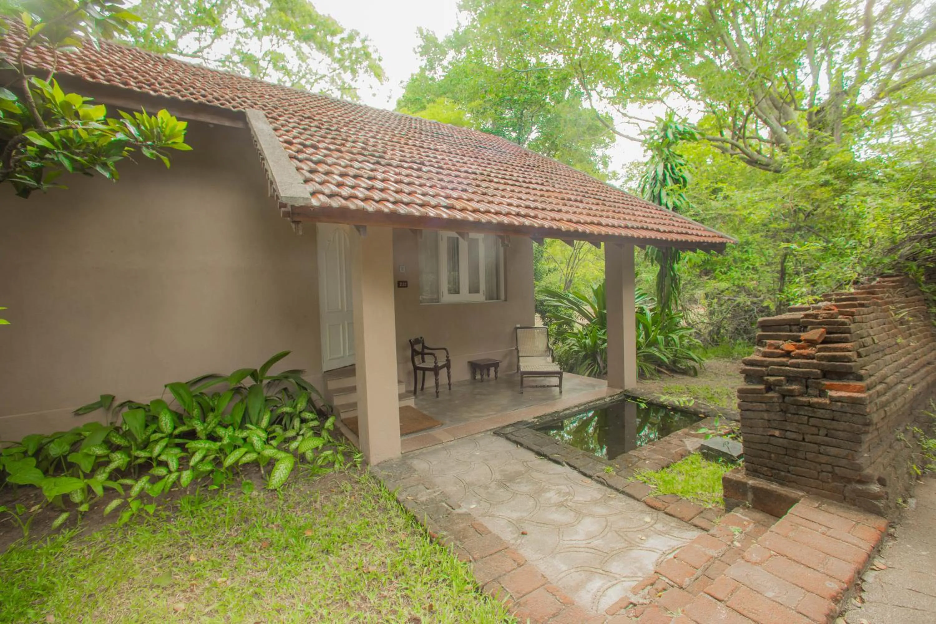 Garden in Sigiriya Village