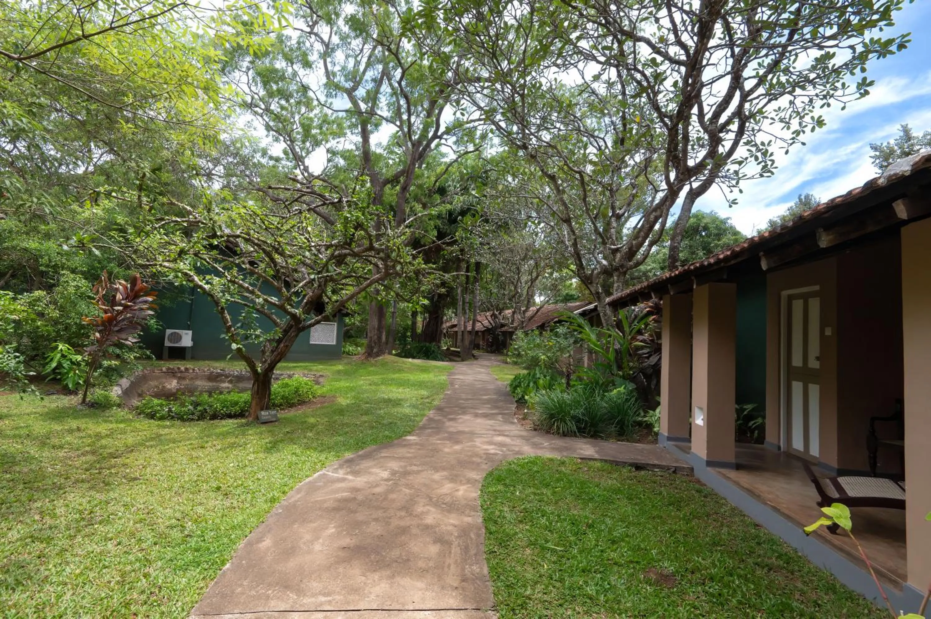 Garden in Sigiriya Village