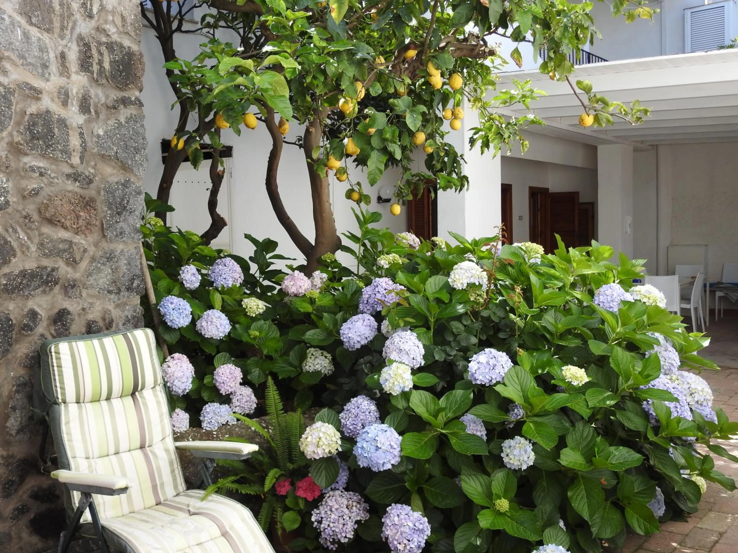 Garden in Villa Erade