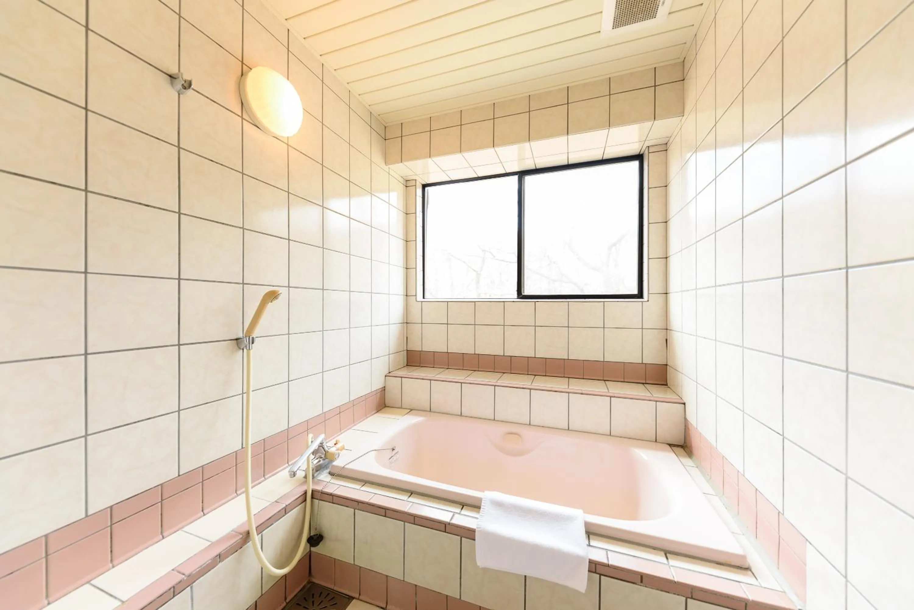 Bathroom in Ginga no Yado Kinoko2seigo