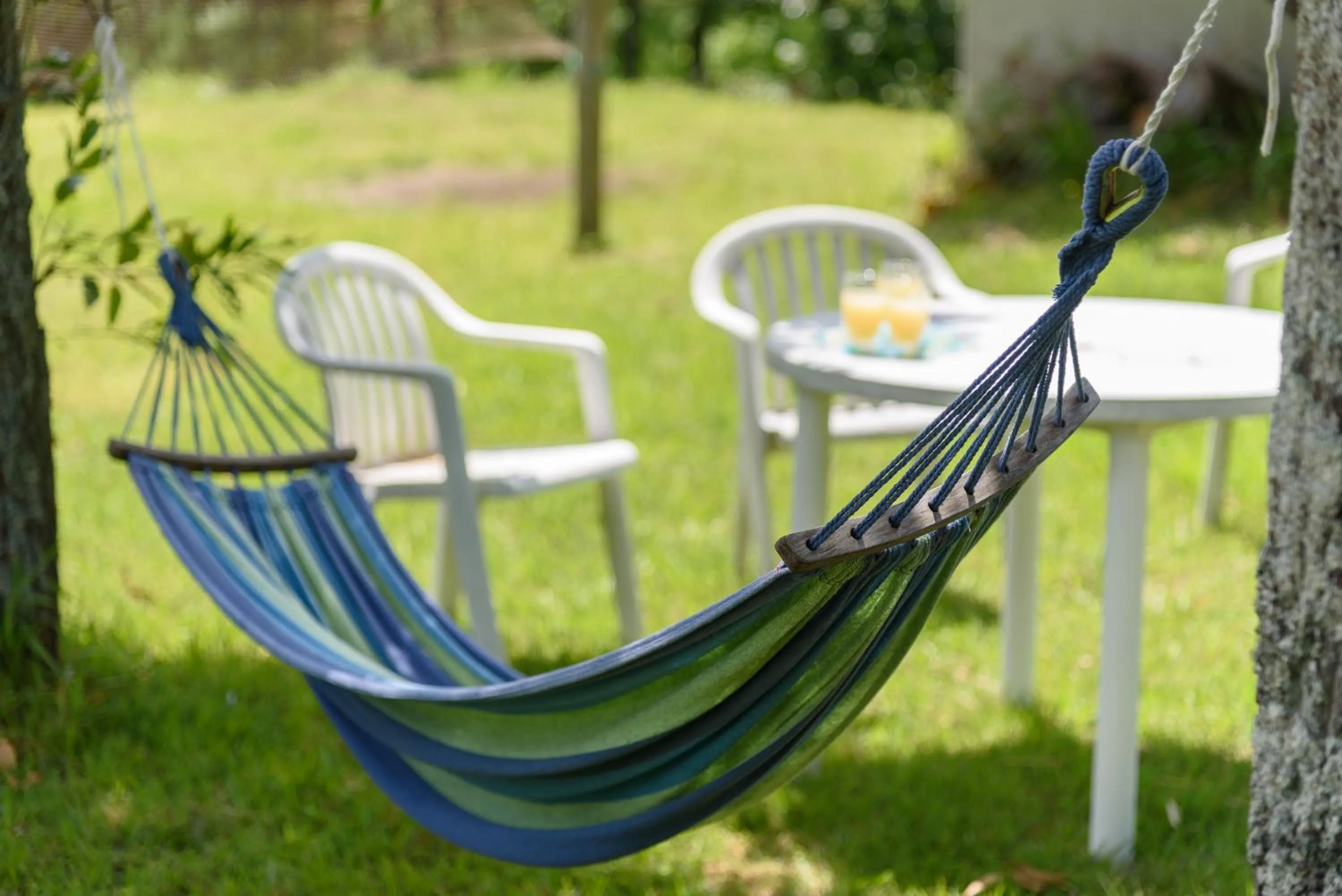 Garden view in Ginga no Yado Kinoko2seigo