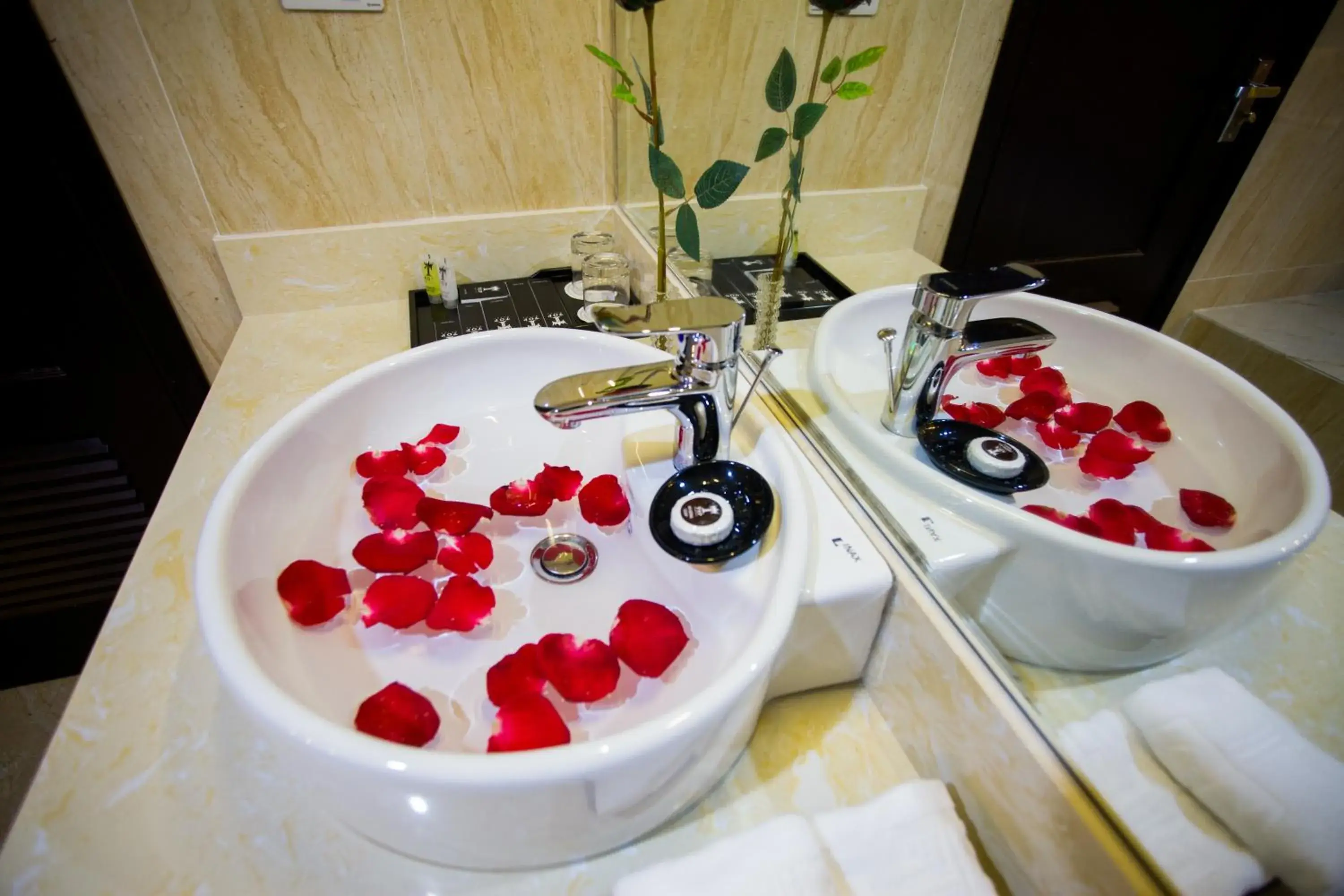 Deluxe Room - single occupancy in Friendship hotel Deluxe Room - single occupancy in Friendship hotel