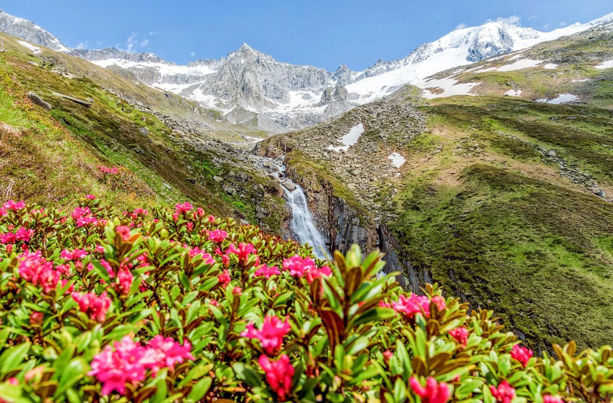 Natural landscape in Hotel zum grünen Tor