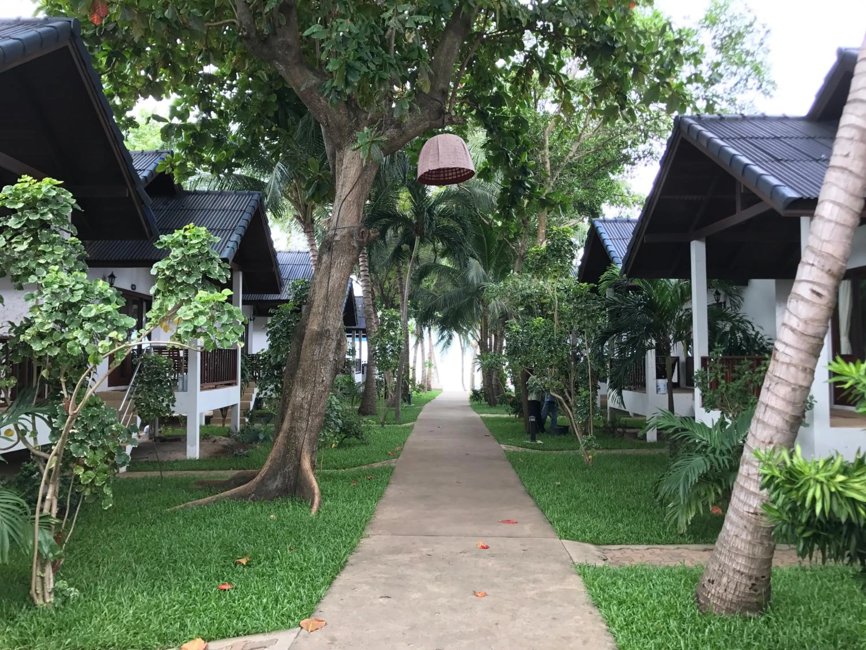 Garden view in Marina Beach Resort - SHA Extra Plus